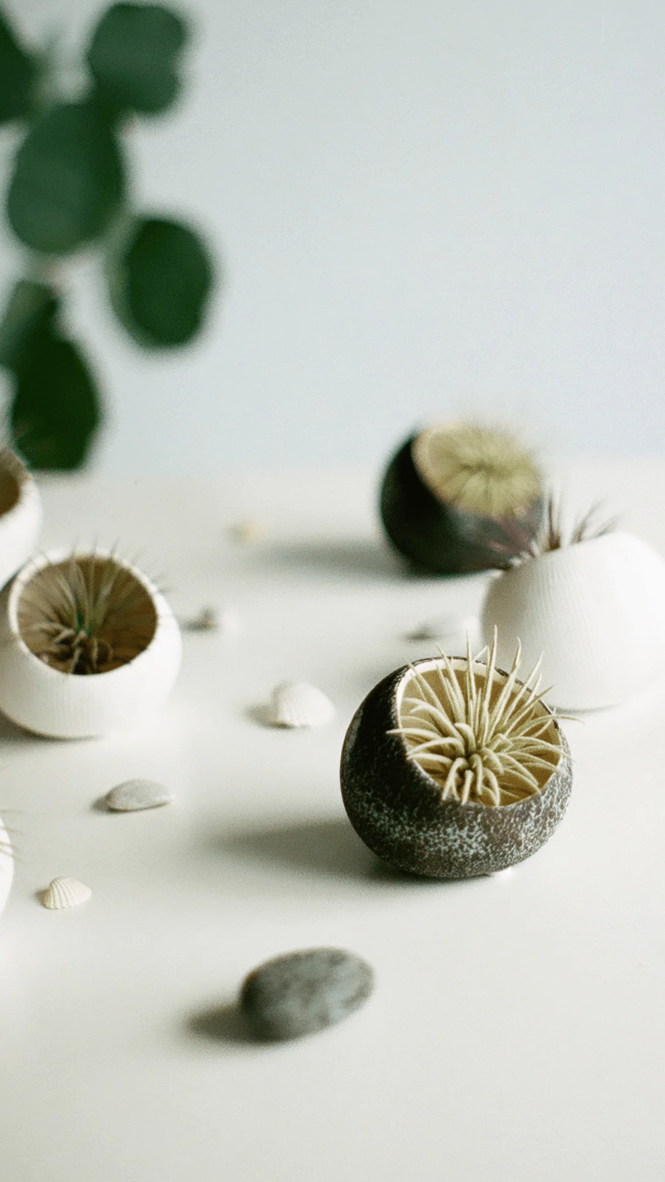 Terrarium Koski Ceramic Air Plant Holder - Image 5