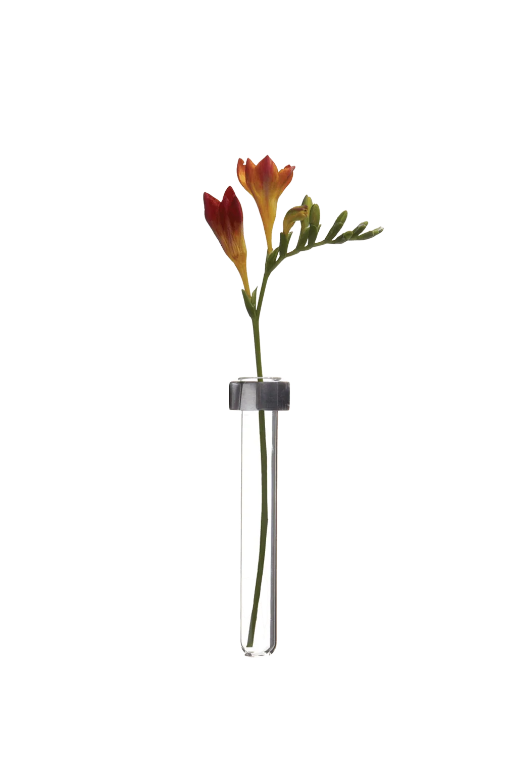 Alu Magnetic Flower Test Tube Holder