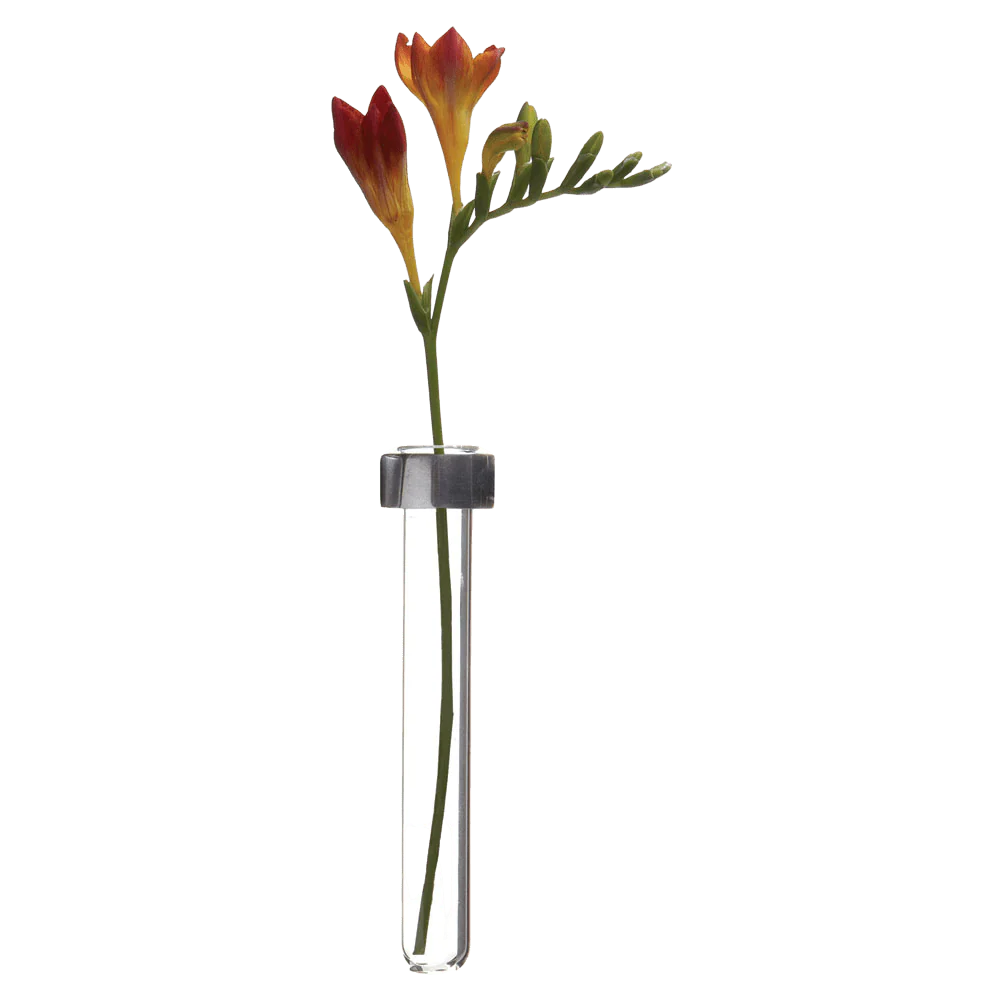 Alu Magnetic Flower Test Tube Holder - Image 2
