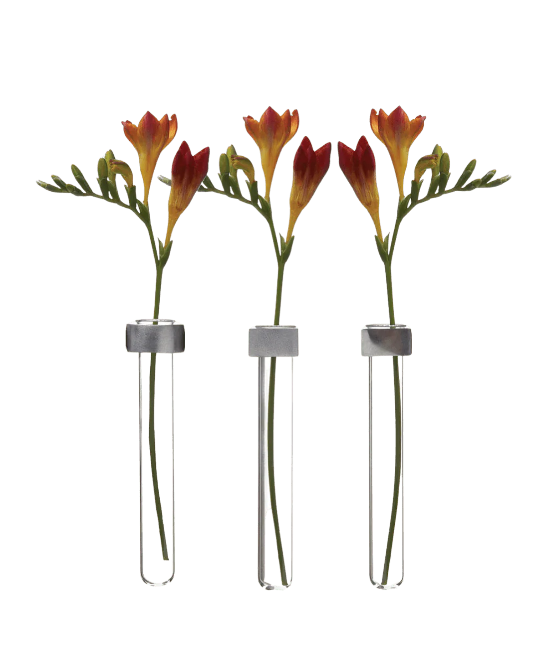 Alu Magnetic Flower Test Tube Holder - Image 3