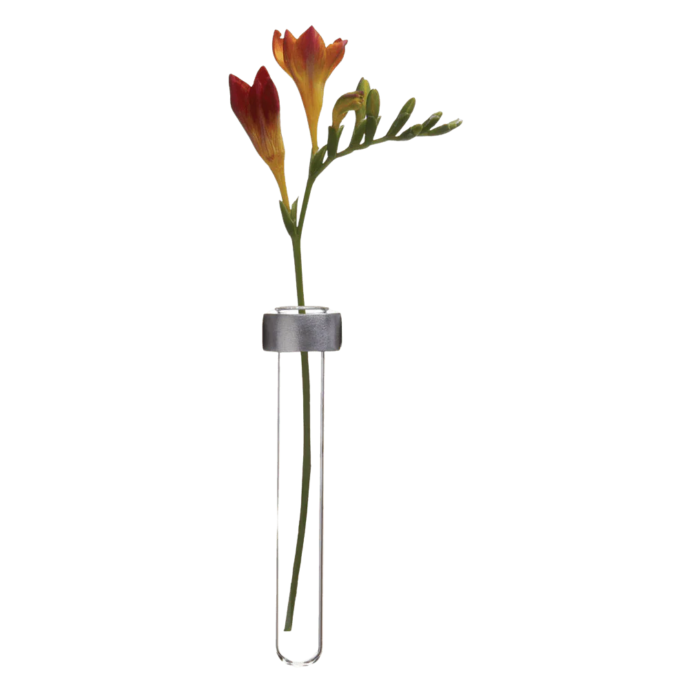Alu Magnetic Flower Test Tube Holder - Image 4