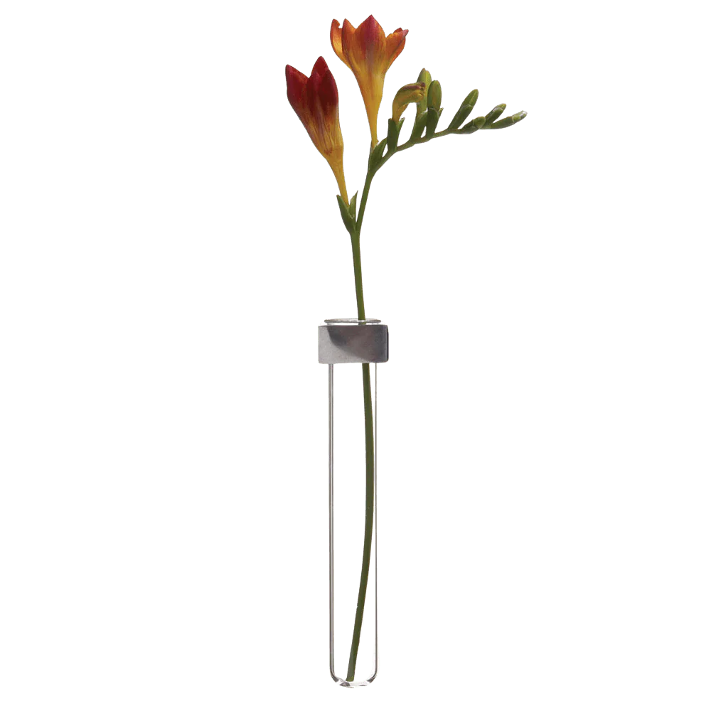 Alu Magnetic Flower Test Tube Holder - Image 5