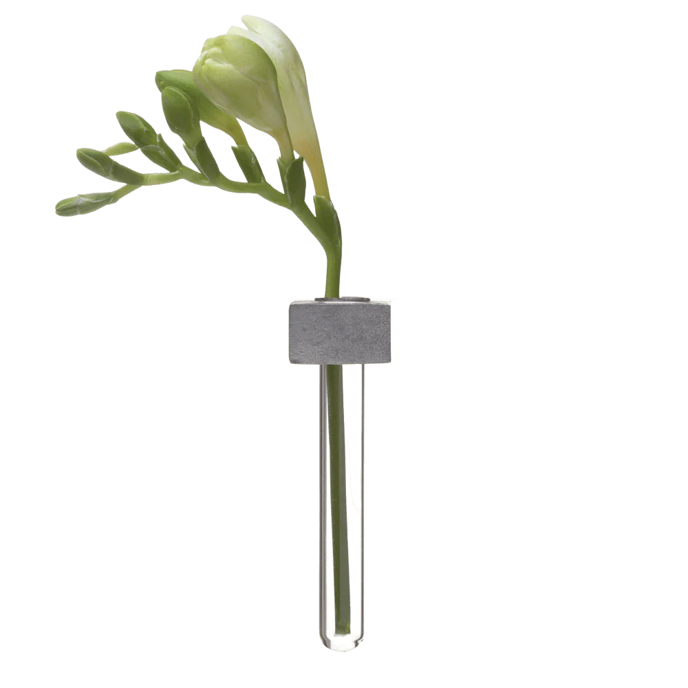 Alu Magnetic Flower Test Tube Holder - Image 8