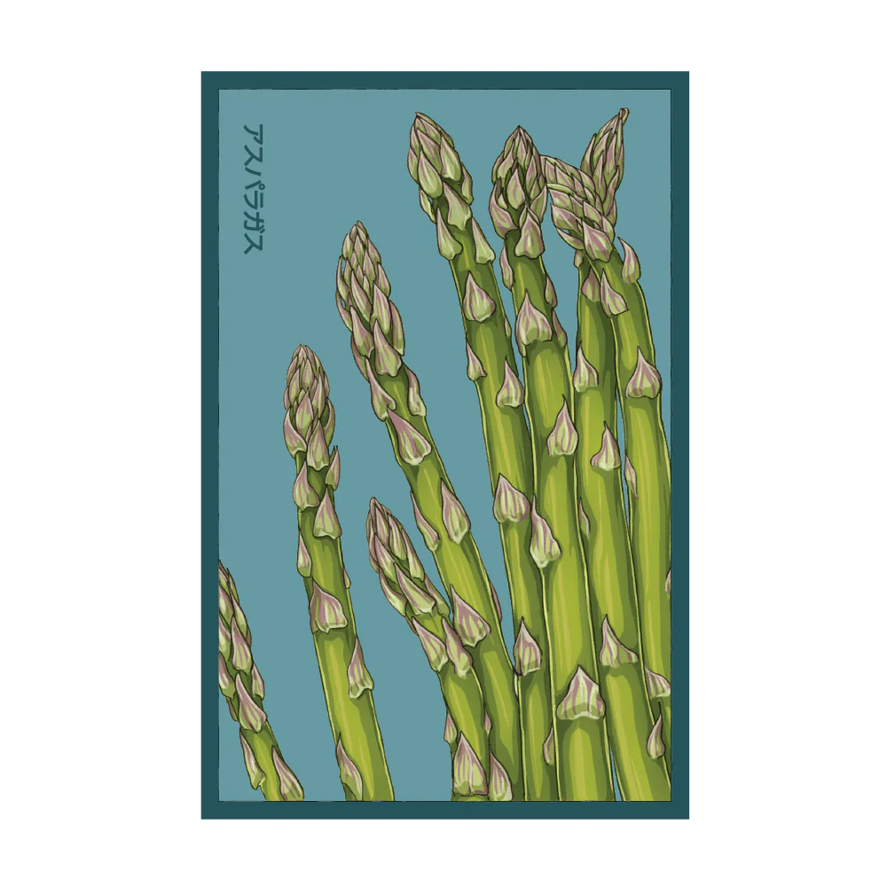 Asparagus Mary Washington Vegetable Seeds Packet