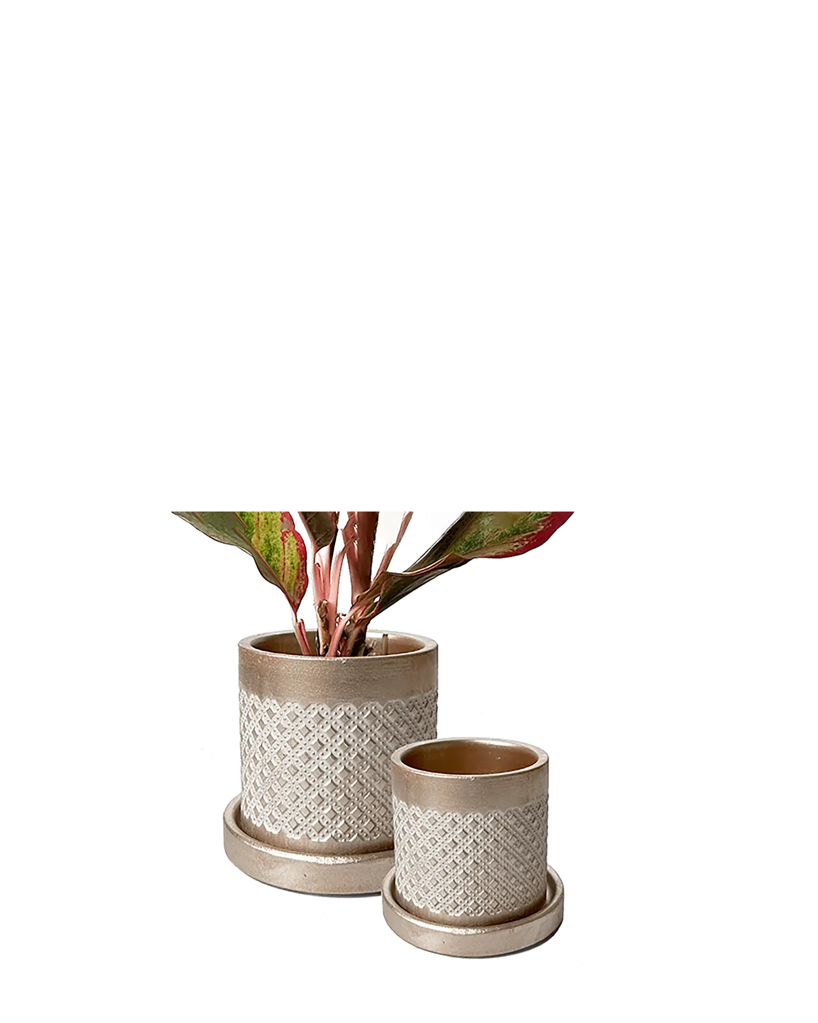 Balter Ceramic Pot And Saucer Set | 5 inch - Image 10