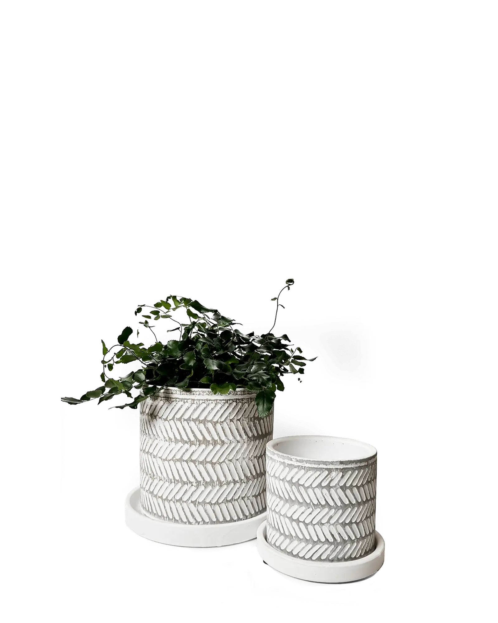 Balter Ceramic Pot And Saucer Set | 5 inch - Image 21