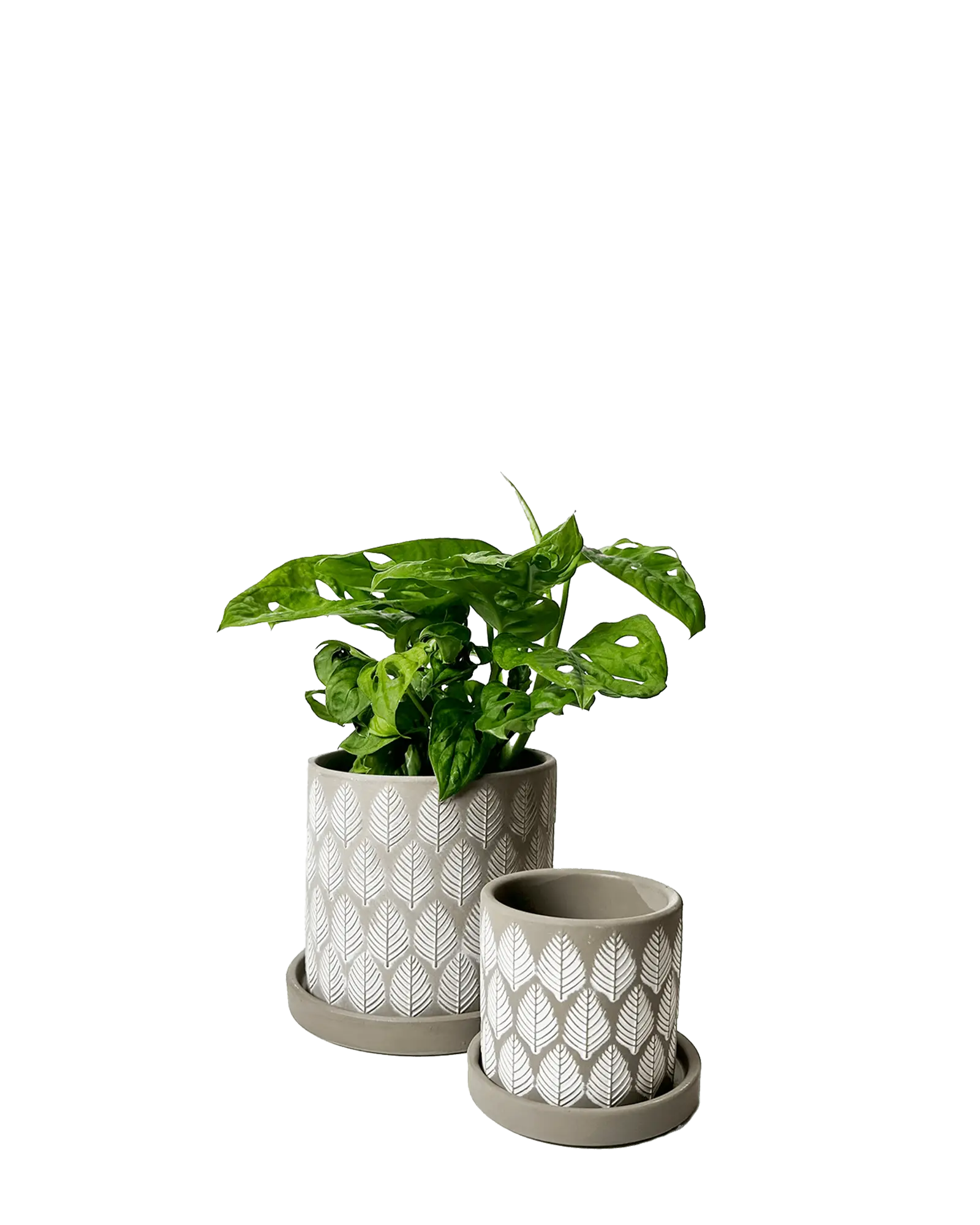 Balter Ceramic Pot And Saucer Set | 5 inch - Image 25