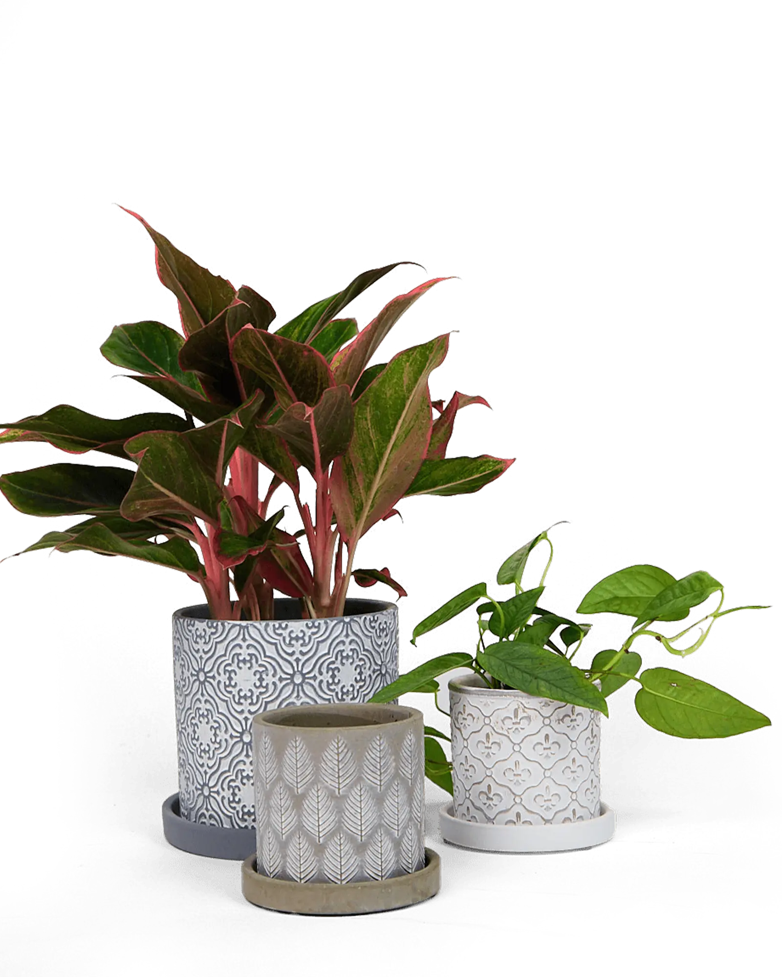 Balter Ceramic Pot And Saucer Set | 5 inch - Image 4