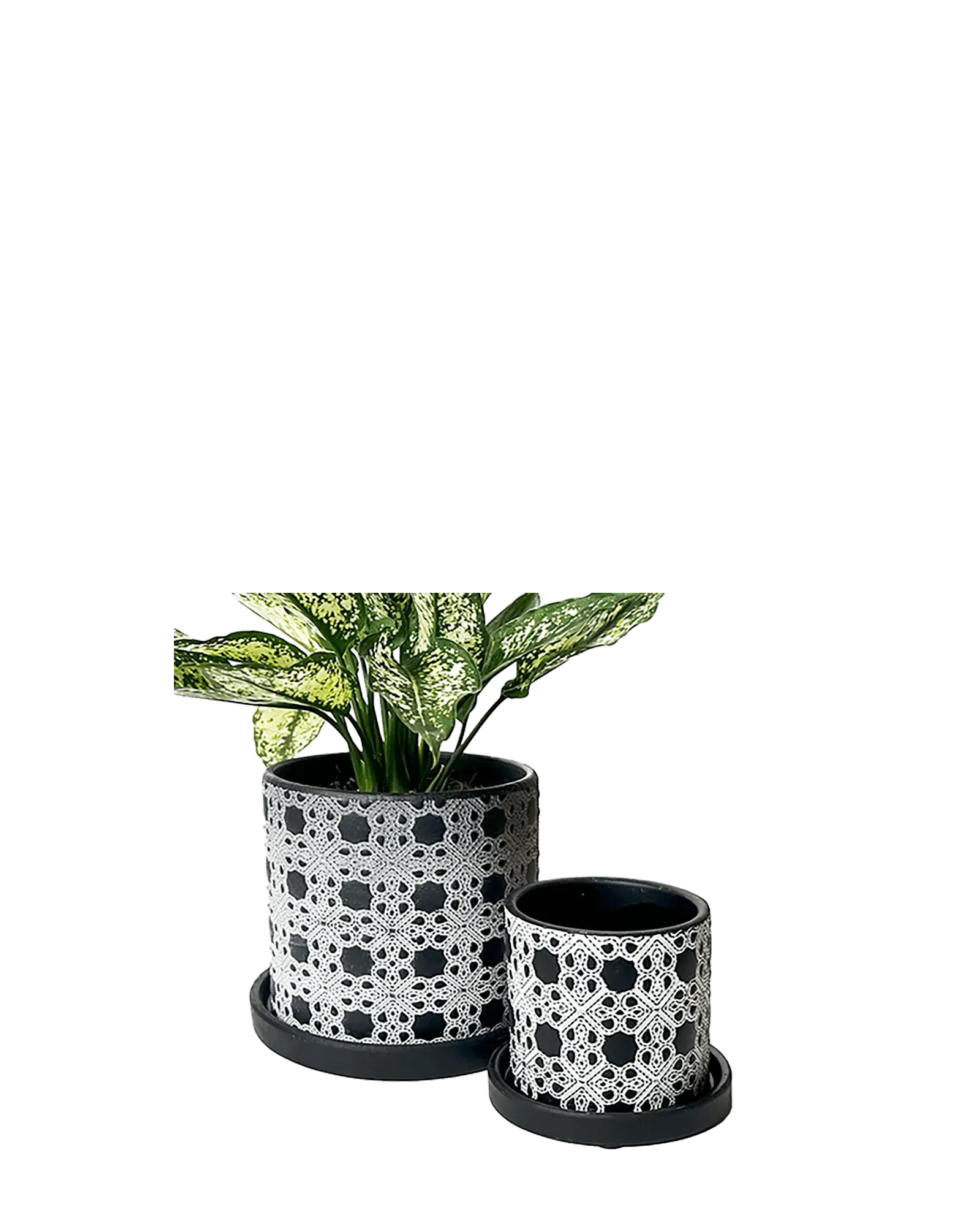 Balter Ceramic Pot And Saucer Set | 5 inch - Image 7