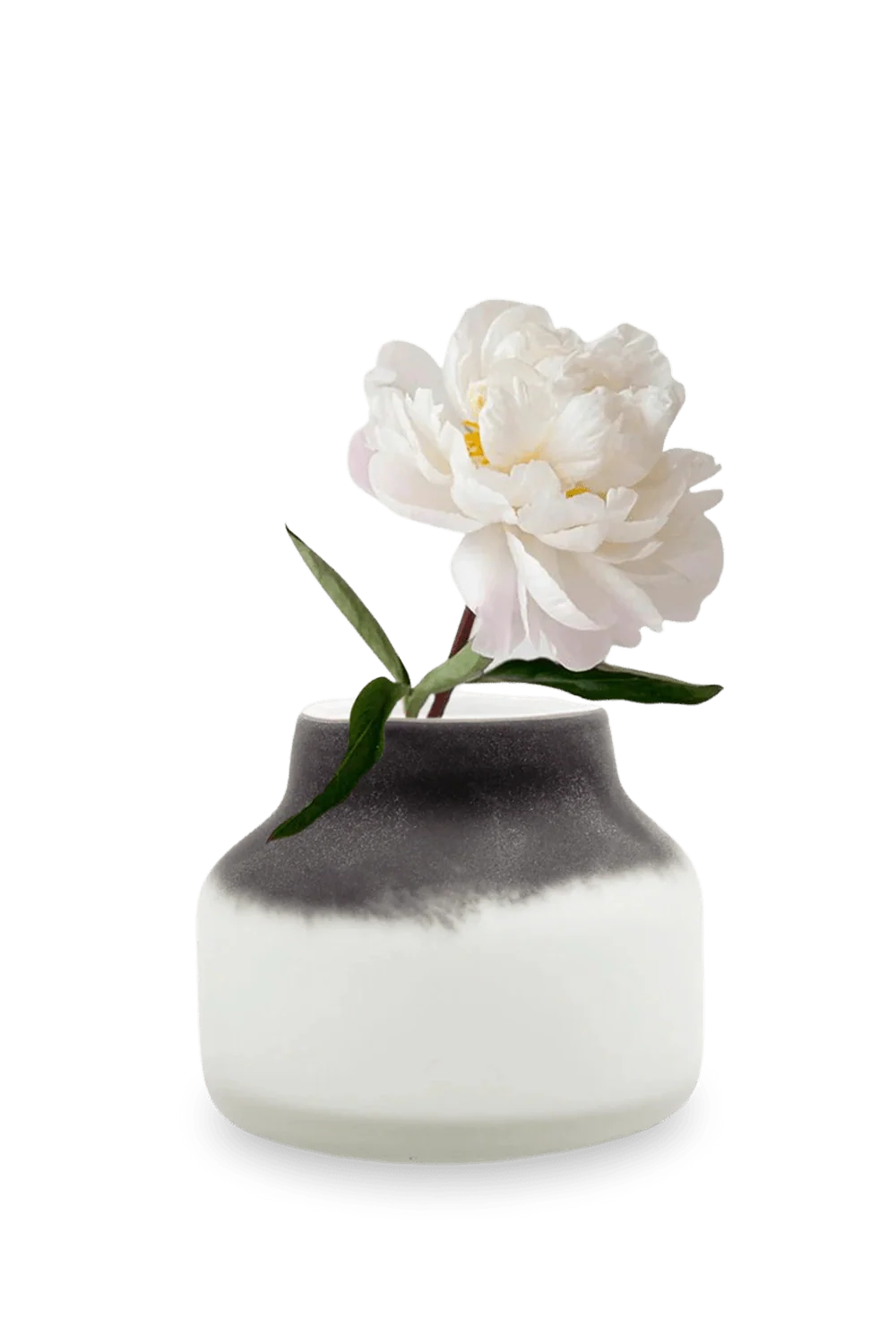 Groak Glass Modern Flower Vase