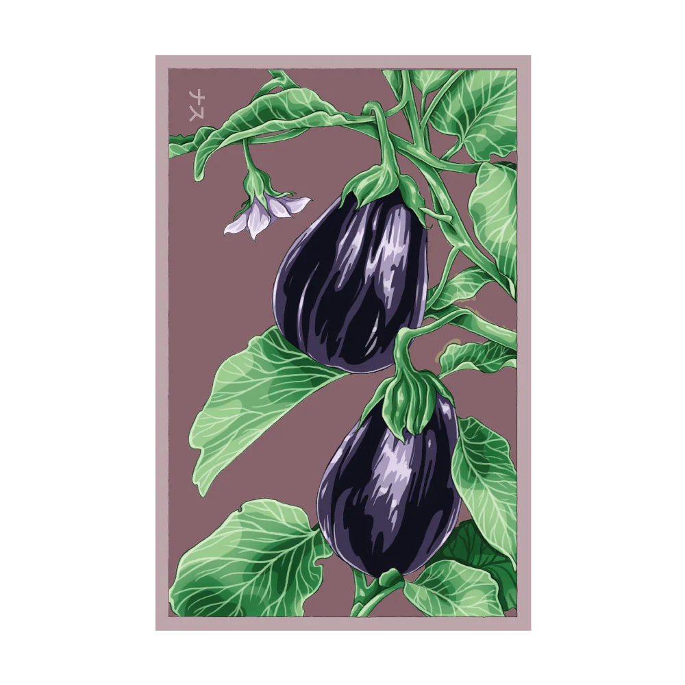 Black Beauty Eggplant Vegetable Seeds Packet