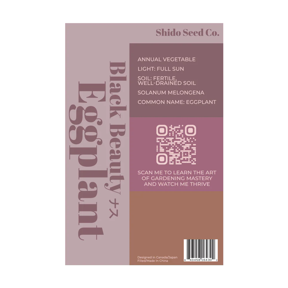 Black Beauty Eggplant Vegetable Seeds Packet - Image 2