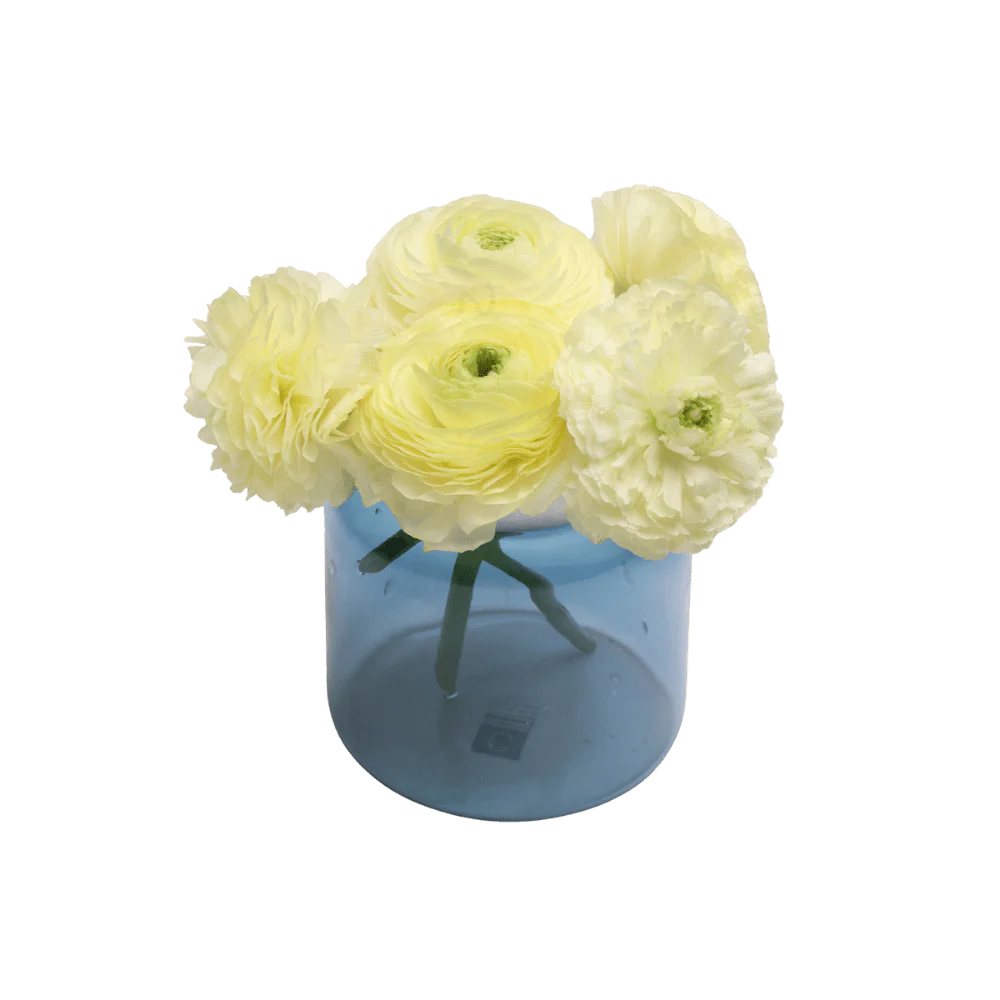 Jar Glass Modern Flower Vase - Image 7