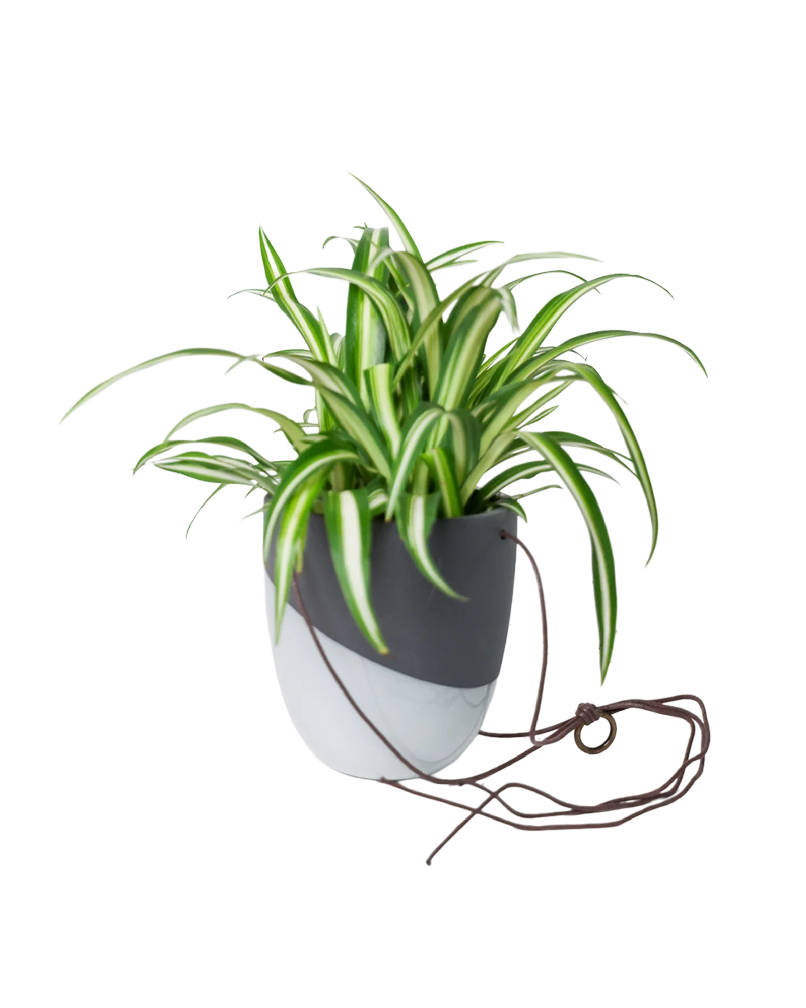 Bobbin Porcelain Modern Hanging Indoor Plant Pot - Image 10