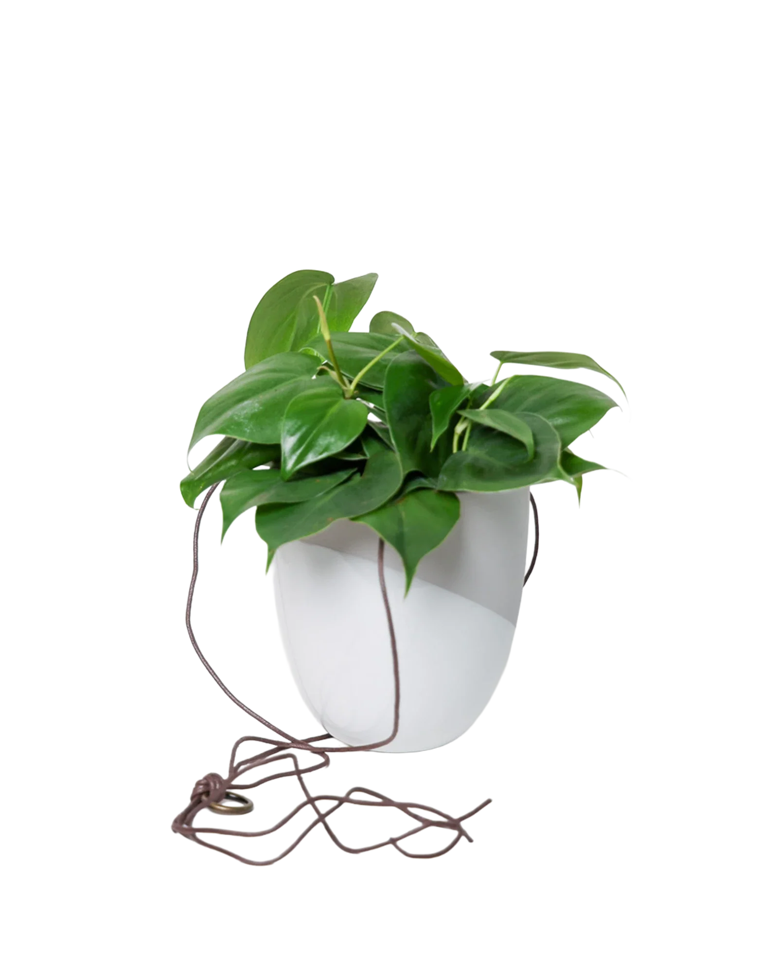 Bobbin Porcelain Modern Hanging Indoor Plant Pot - Image 15