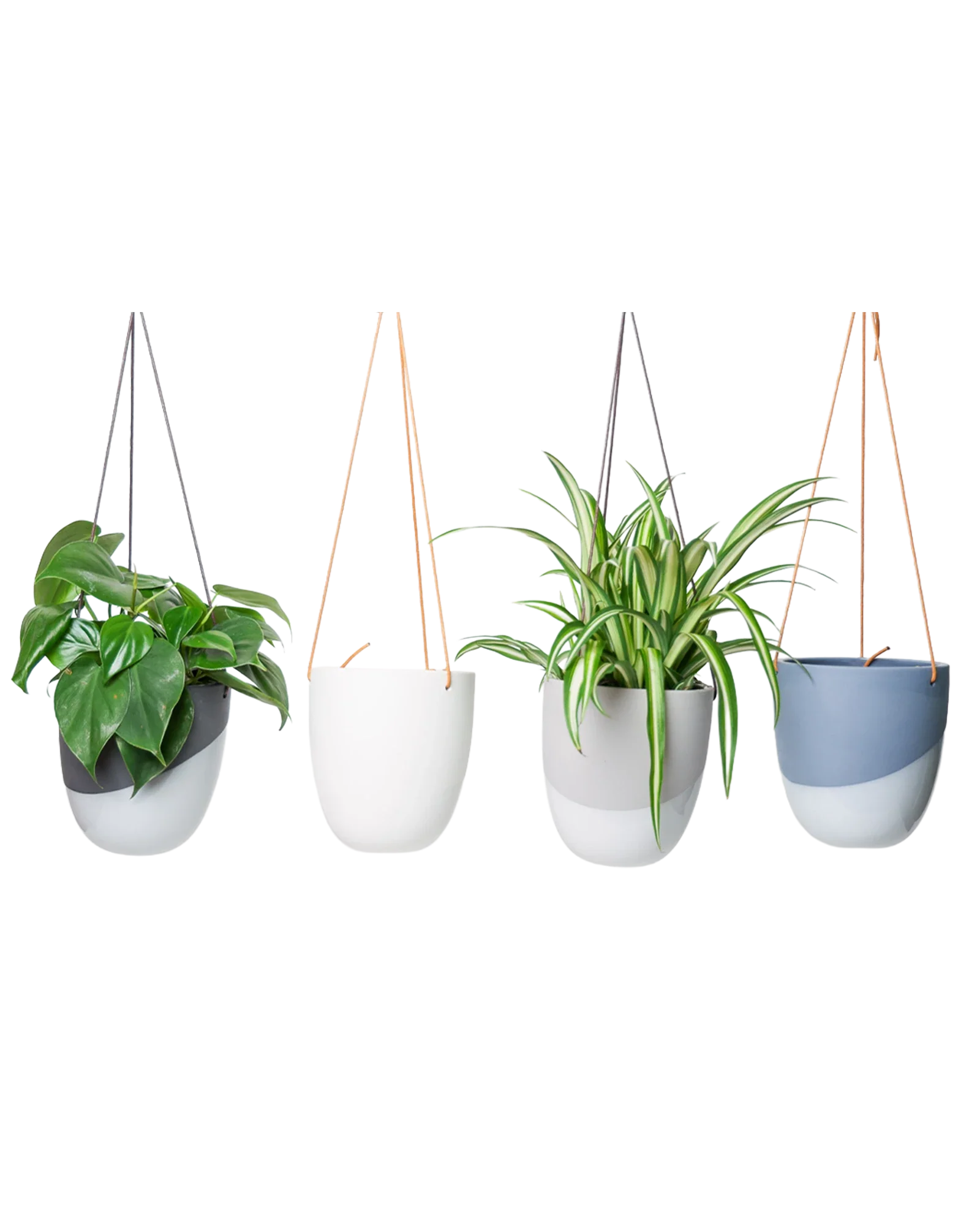 Bobbin Porcelain Modern Hanging Indoor Plant Pot - Image 16