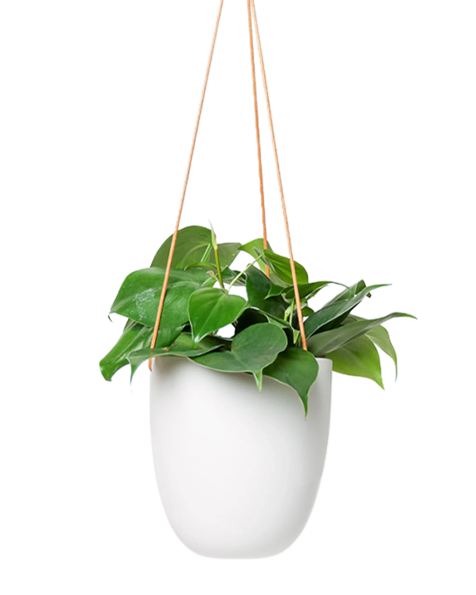 Bobbin Porcelain Modern Hanging Indoor Plant Pot - Image 17