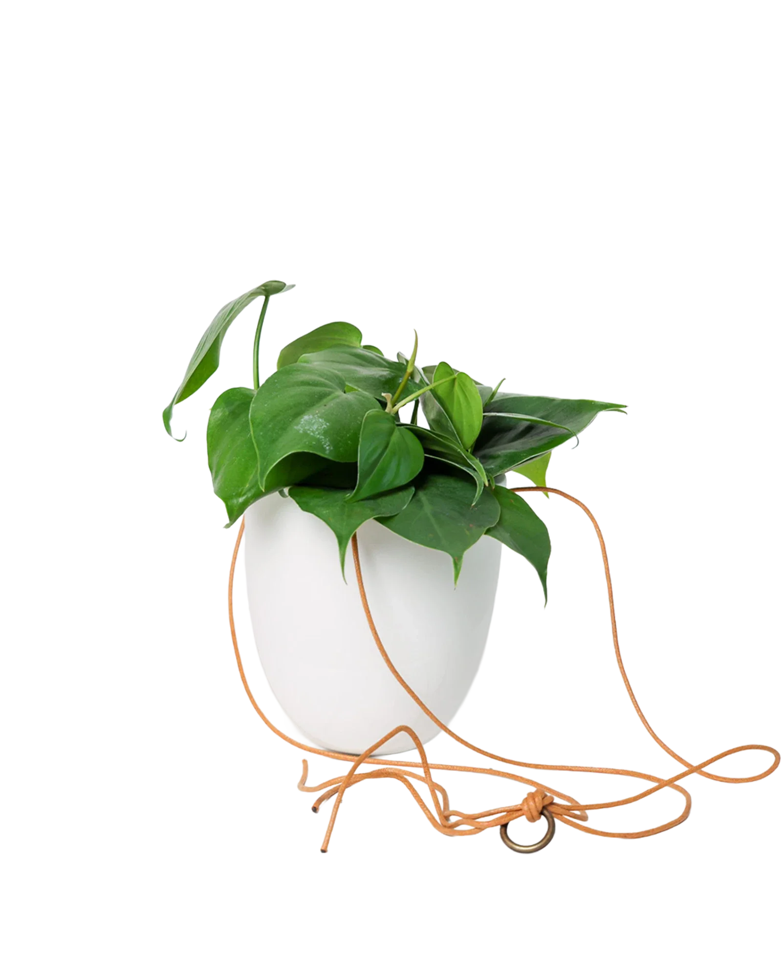 Bobbin Porcelain Modern Hanging Indoor Plant Pot - Image 19