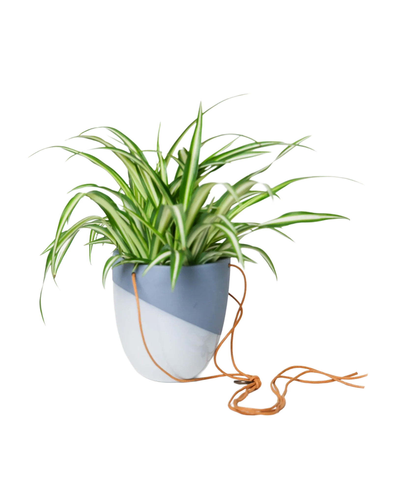 Bobbin Porcelain Modern Hanging Indoor Plant Pot - Image 5