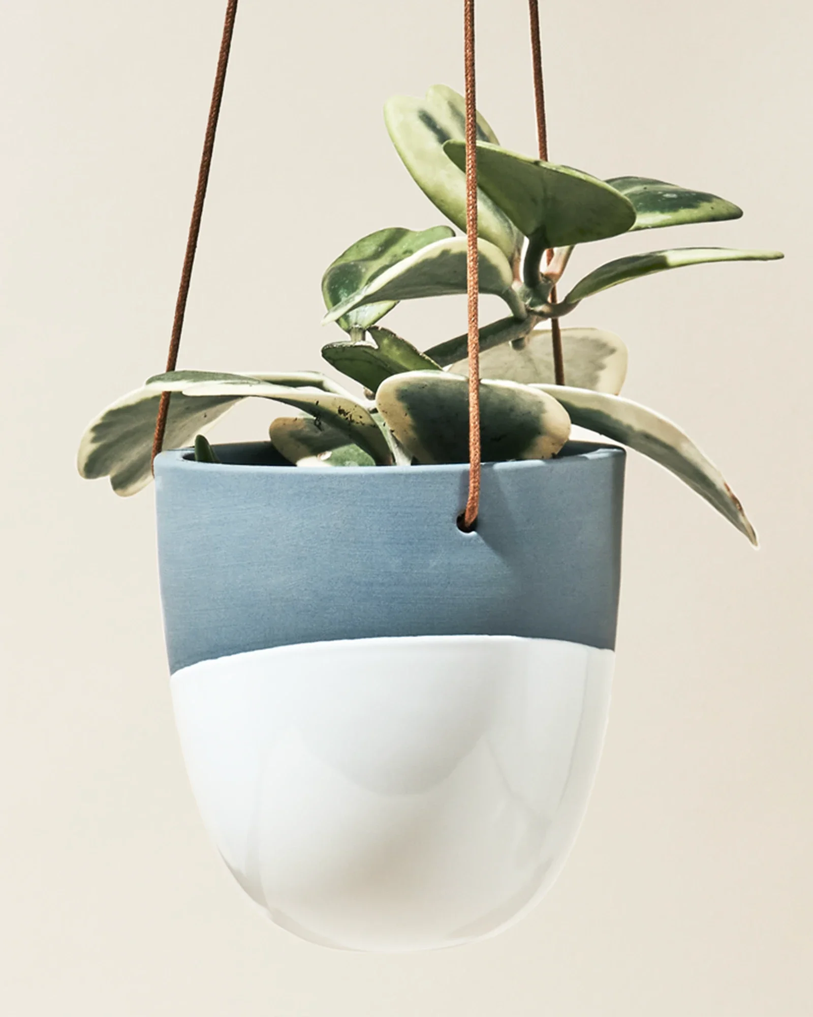 Bobbin Porcelain Modern Hanging Indoor Plant Pot - Image 7