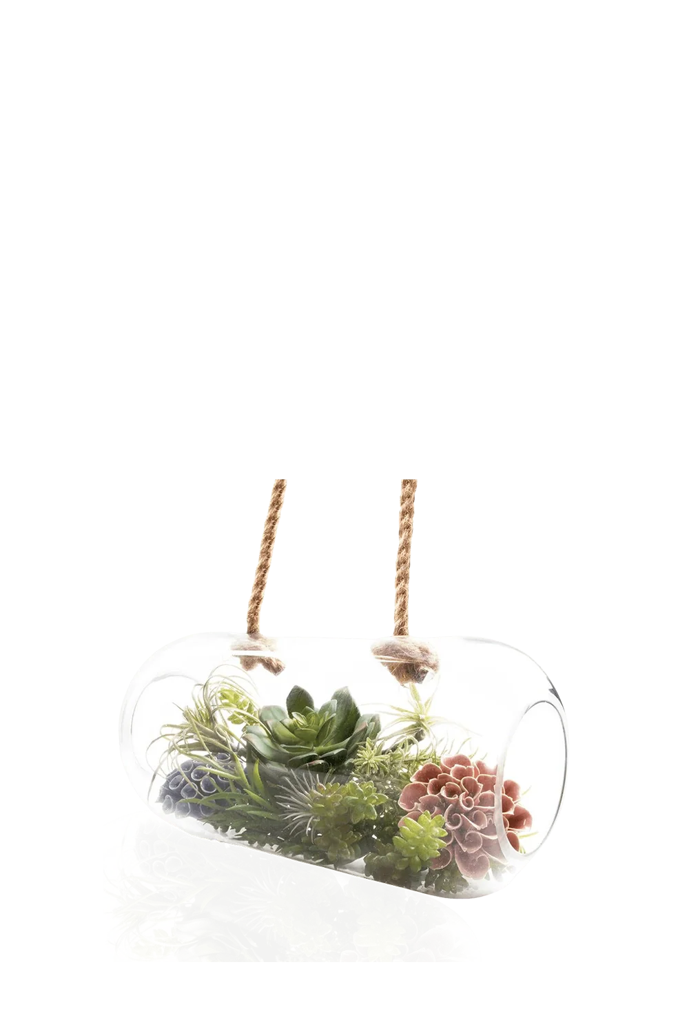 Bolsk Glass Large Hanging Terrarium - Image 3