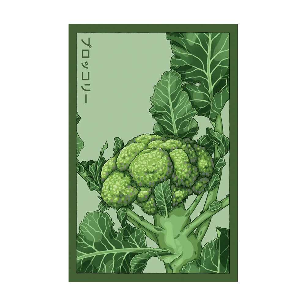 Broccoli Vegetable Seeds Packet