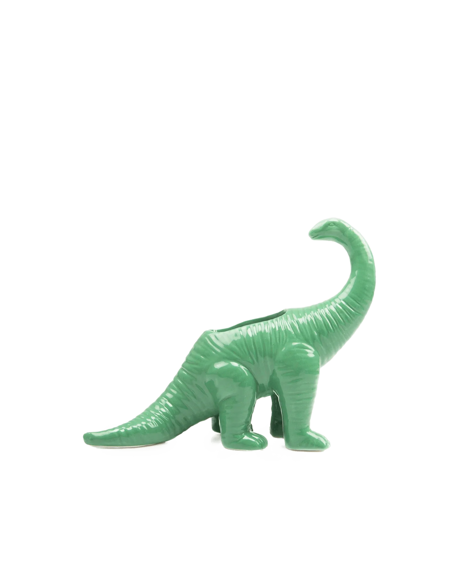 Brontosaurus Ceramic Indoor Plant Pot for Succulents - Image 11