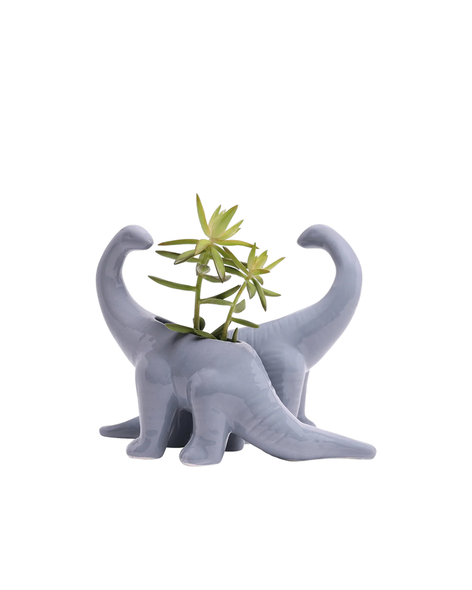 Brontosaurus Ceramic Indoor Plant Pot for Succulents - Image 14