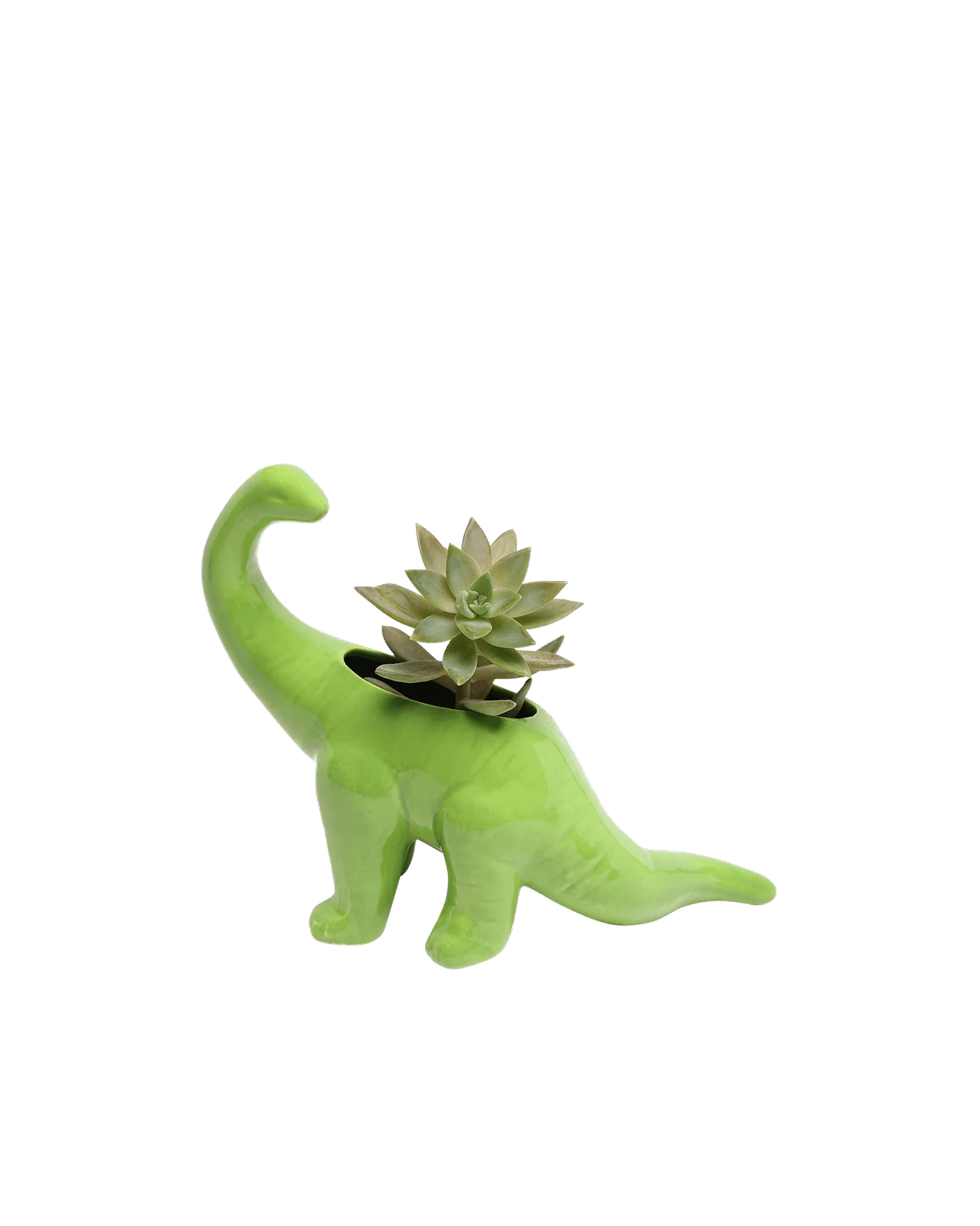 Brontosaurus Ceramic Indoor Plant Pot for Succulents - Image 18