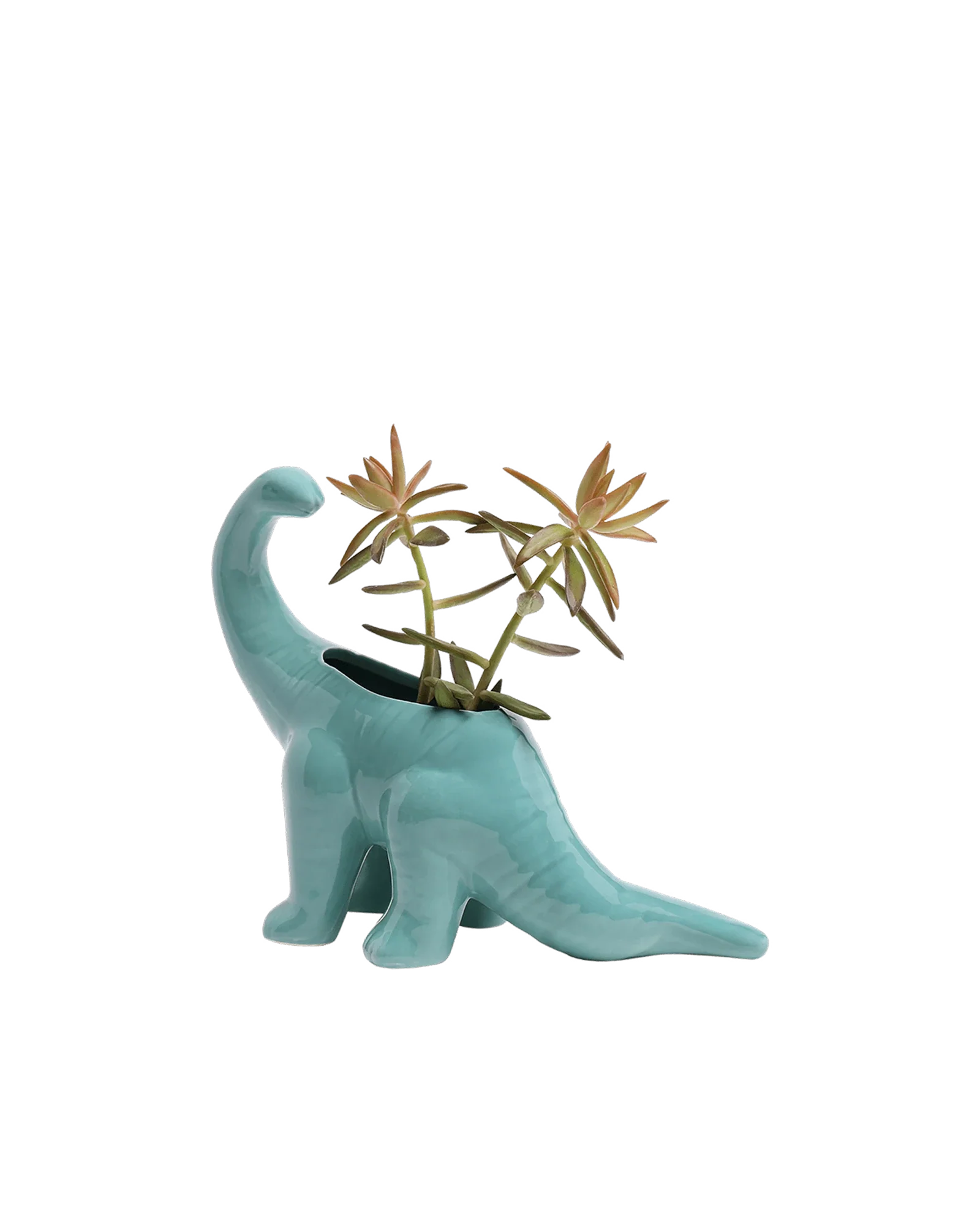 Brontosaurus Ceramic Indoor Plant Pot for Succulents - Image 20