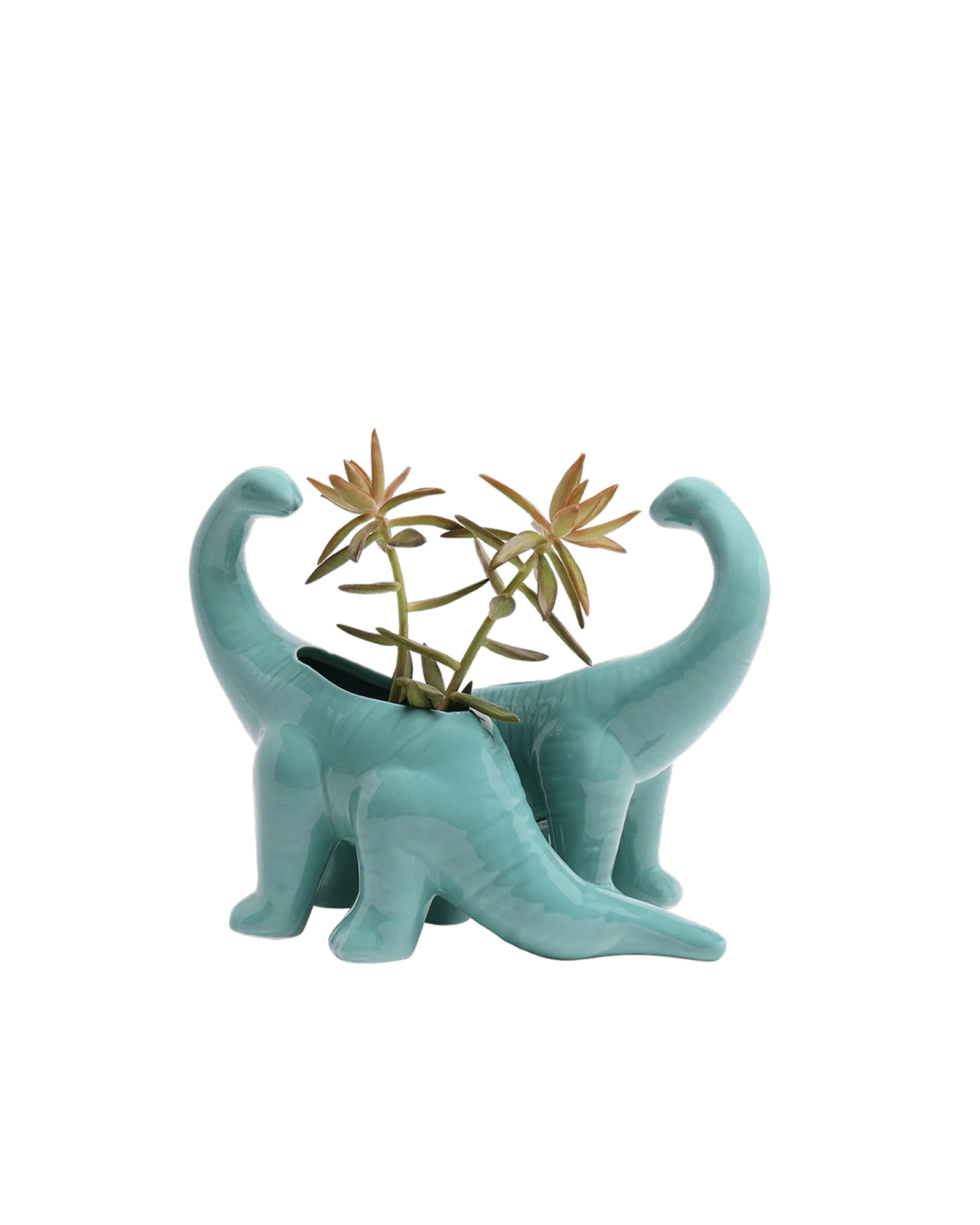 Brontosaurus Ceramic Indoor Plant Pot for Succulents - Image 21