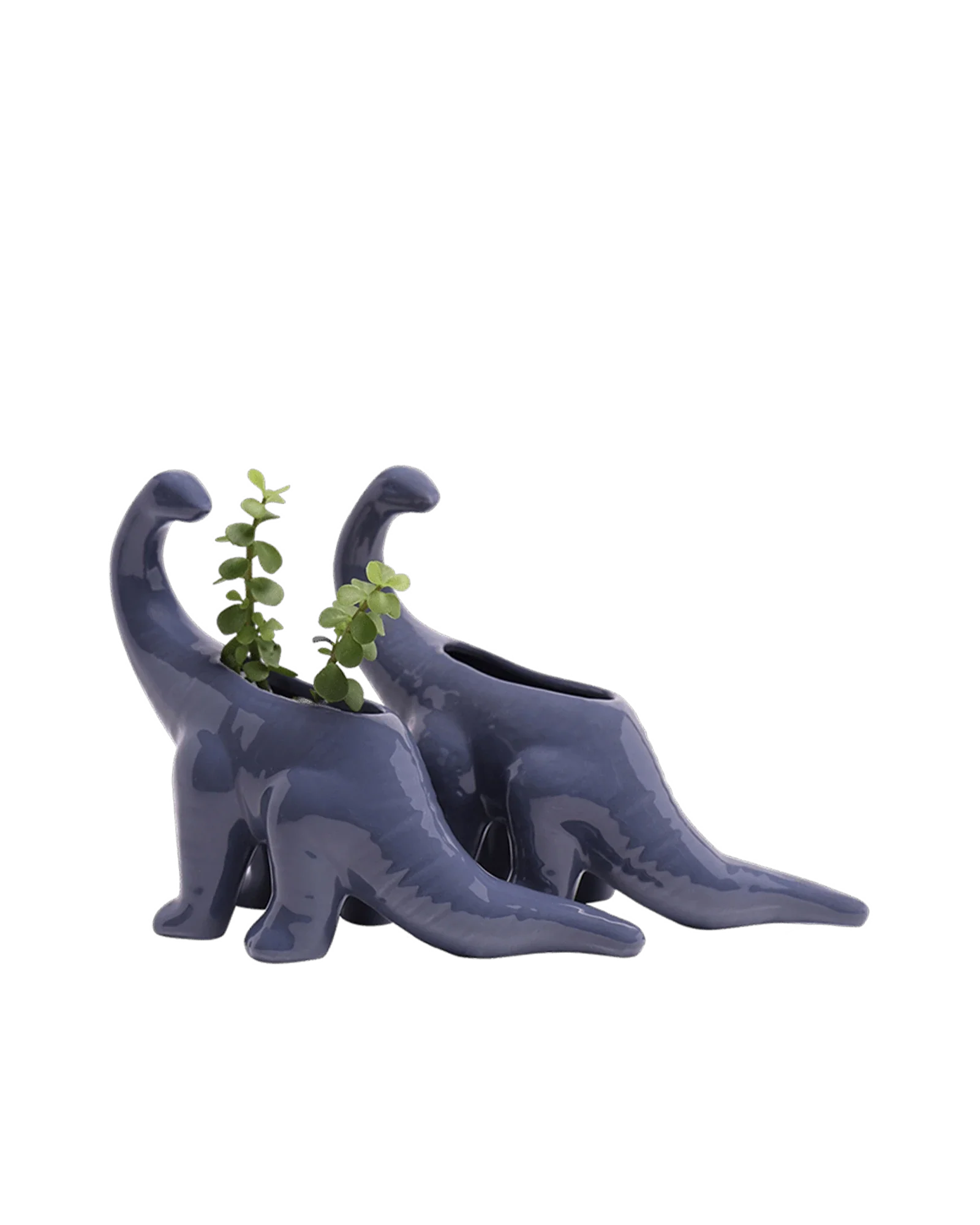 Brontosaurus Ceramic Indoor Plant Pot for Succulents - Image 23
