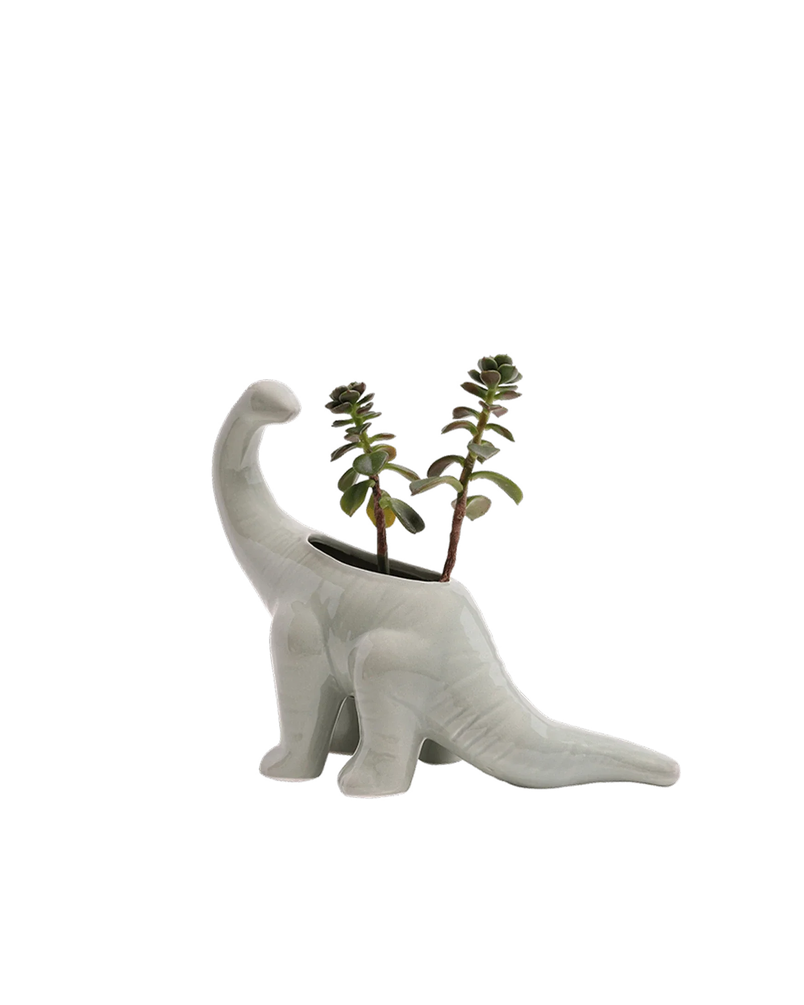 Brontosaurus Ceramic Indoor Plant Pot for Succulents - Image 25