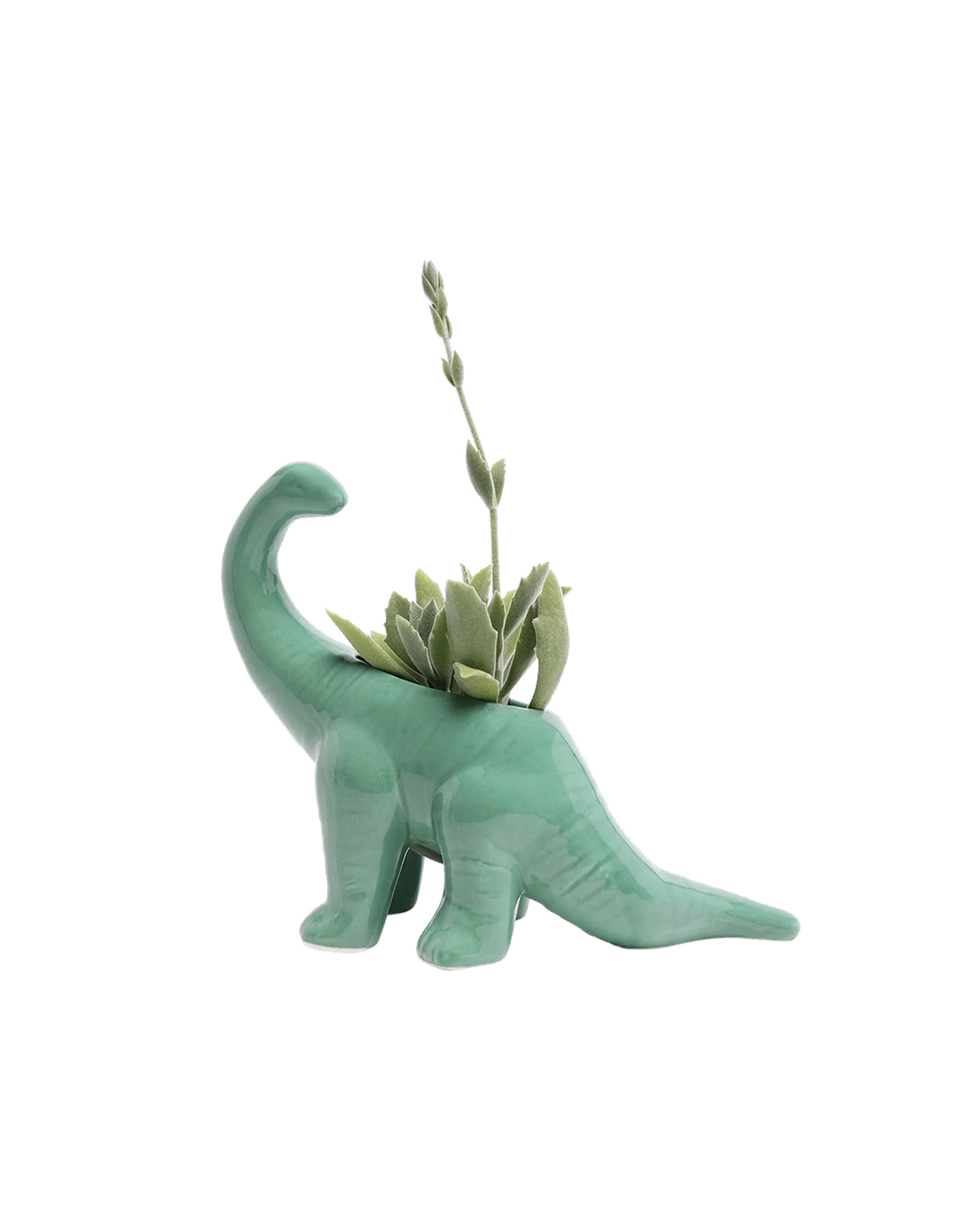 Brontosaurus Ceramic Indoor Plant Pot for Succulents - Image 27