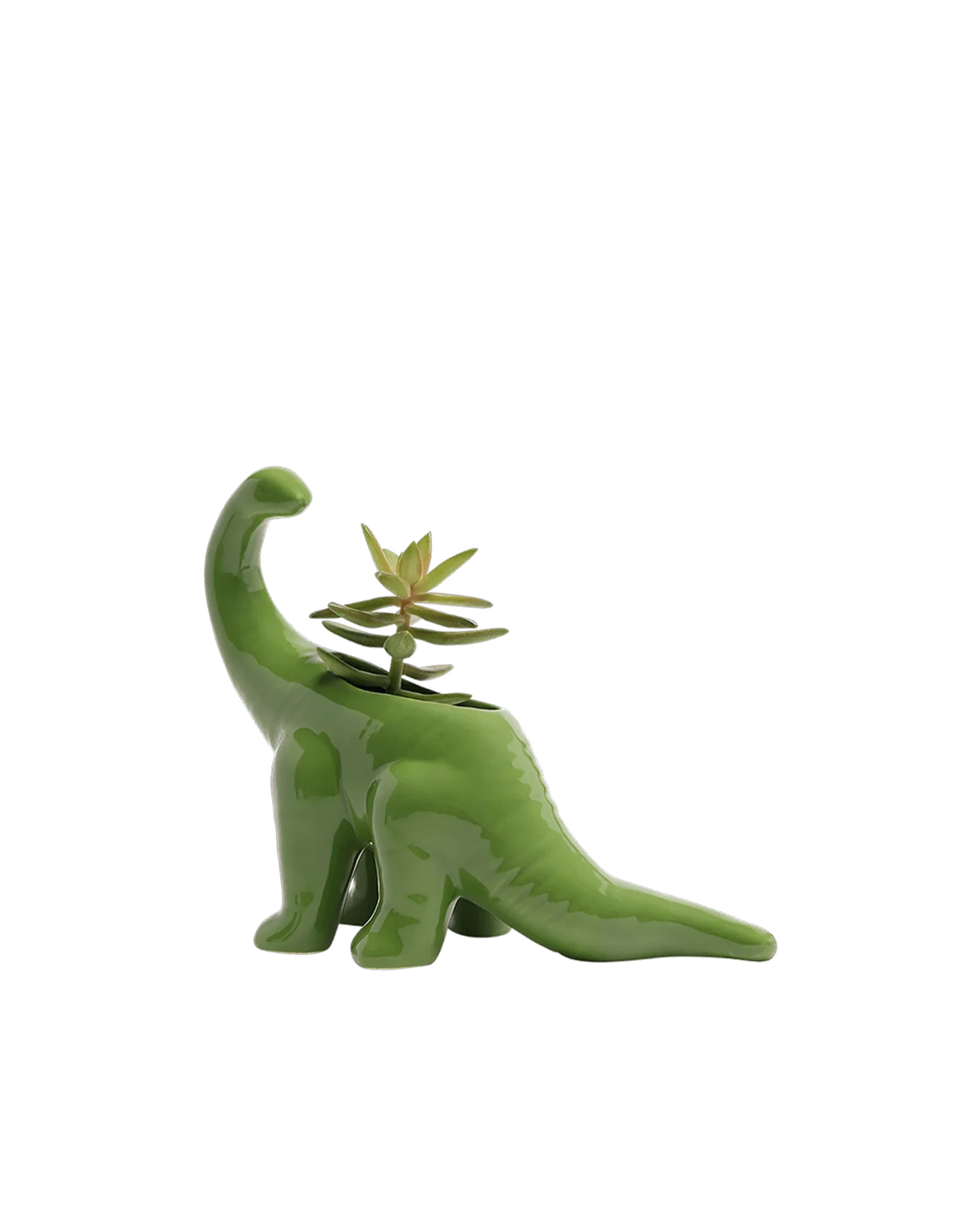 Brontosaurus Ceramic Indoor Plant Pot for Succulents - Image 3