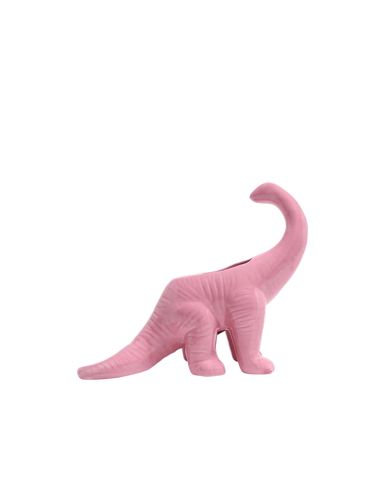 Brontosaurus Ceramic Indoor Plant Pot for Succulents - Image 5