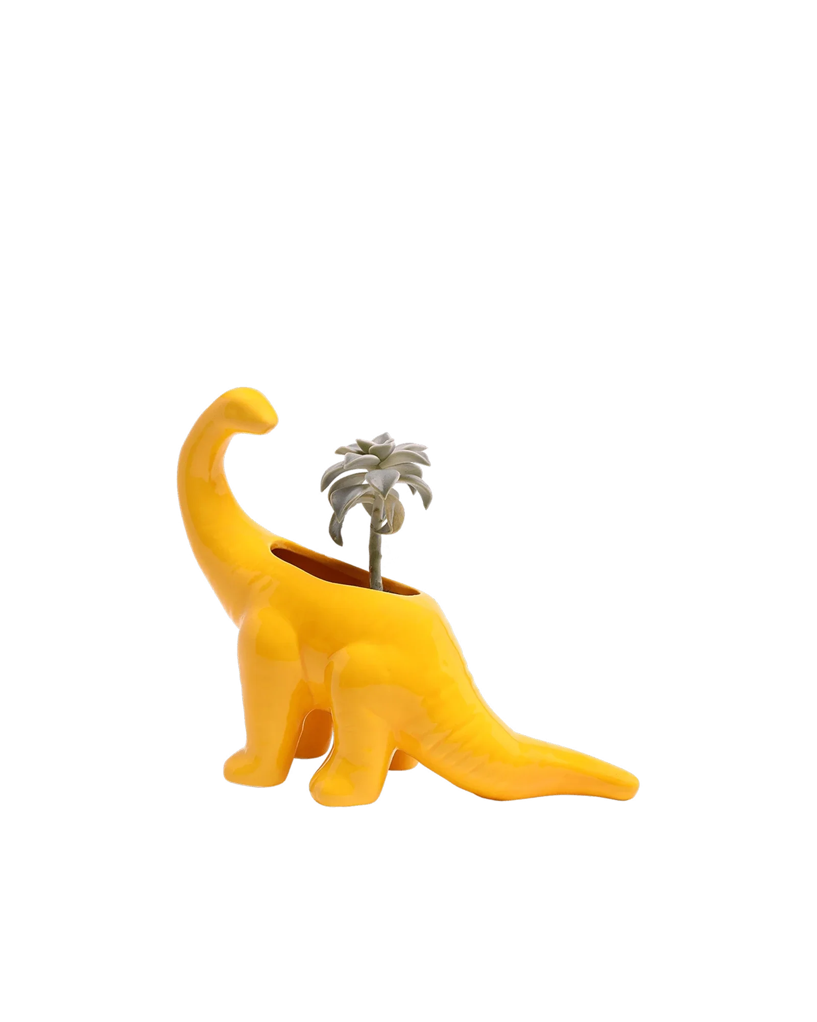Brontosaurus Ceramic Indoor Plant Pot for Succulents - Image 8