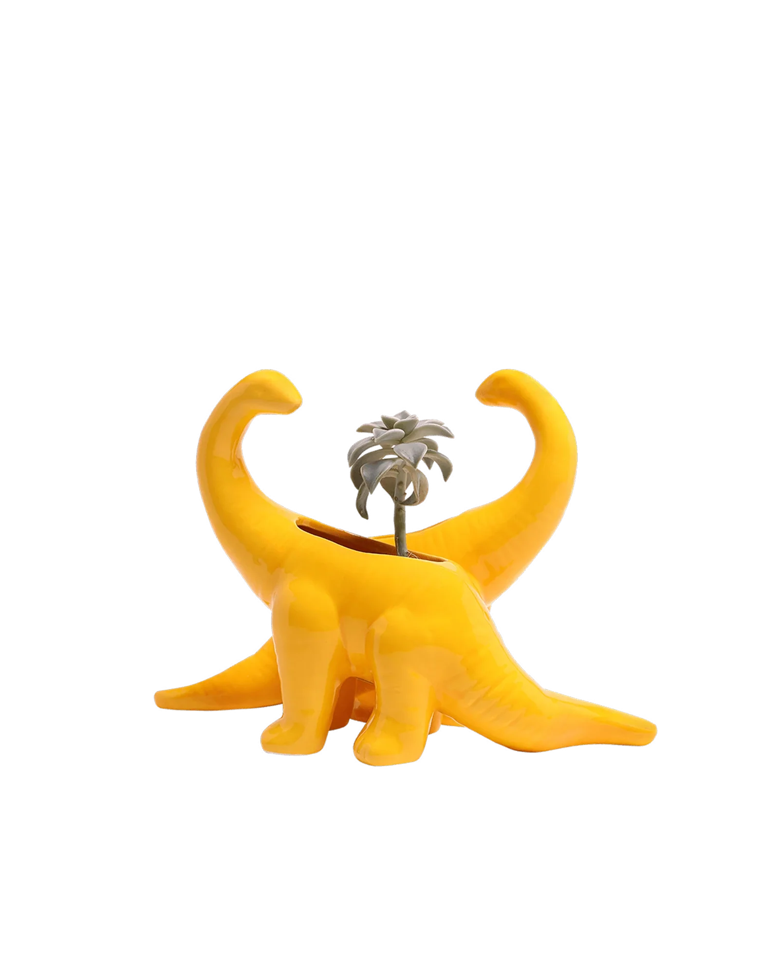 Brontosaurus Ceramic Indoor Plant Pot for Succulents - Image 9