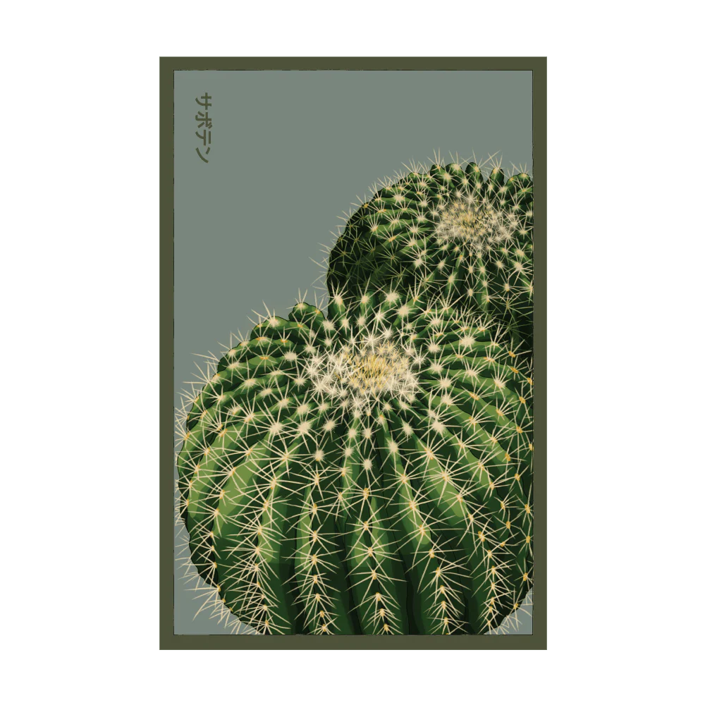 Cactus Indoor Houseplant Seeds Packet