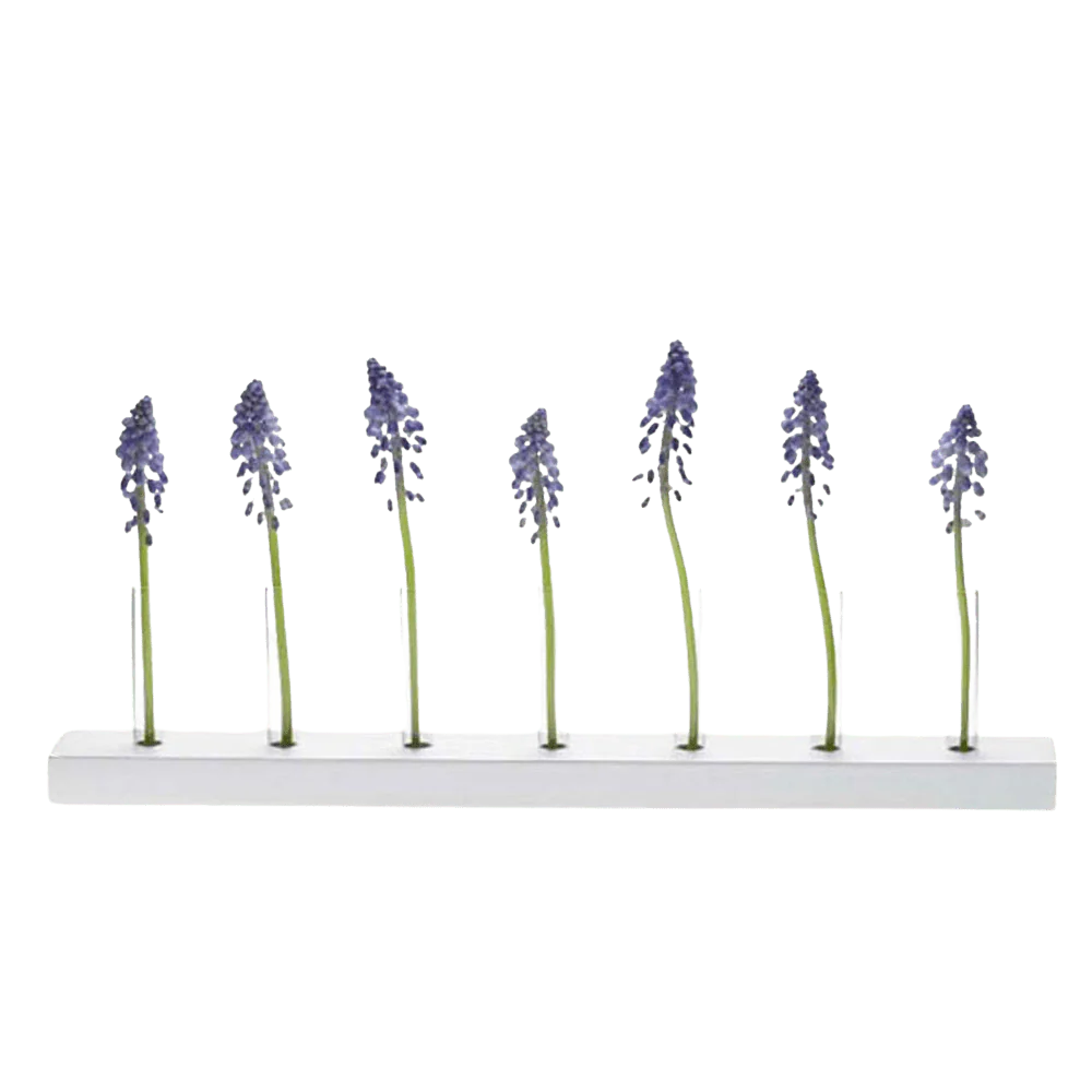 Calla Test Tube Flower Vase - Image 5