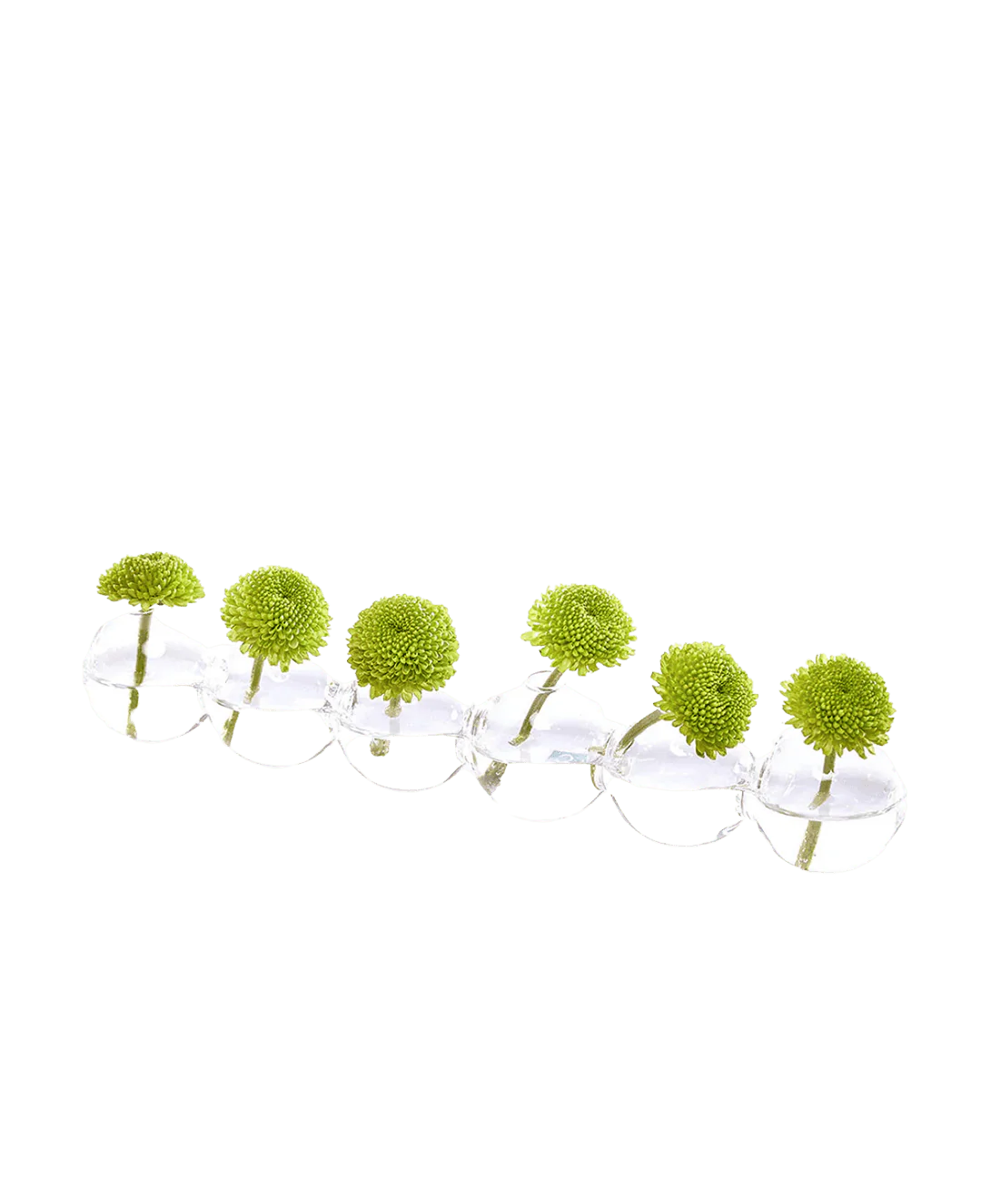 Caterpillar Glass Modern Clear Flower Vase - Image 3