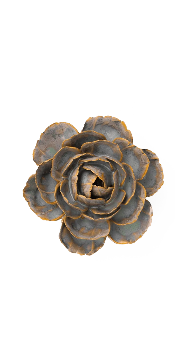 Pale Blue English Rose