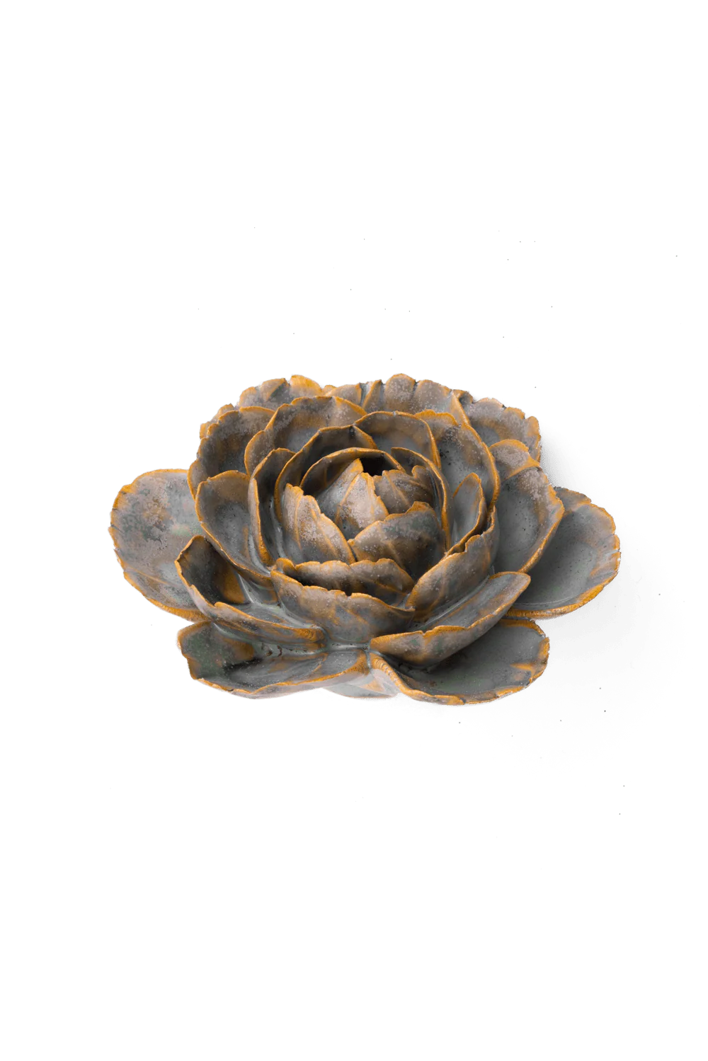 Pale Blue English Rose - Image 2