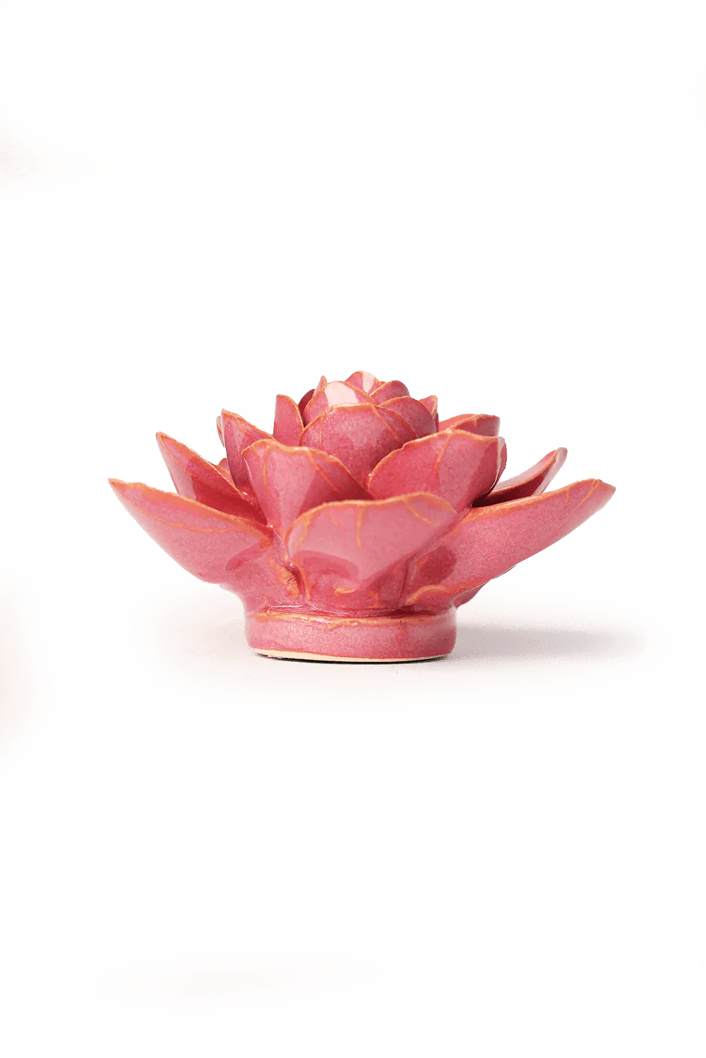 Blush Pink Begonia - Image 2