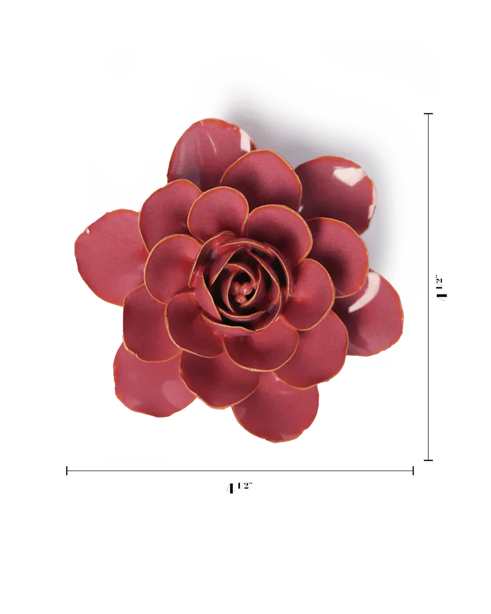 Blush Pink Begonia - Image 3