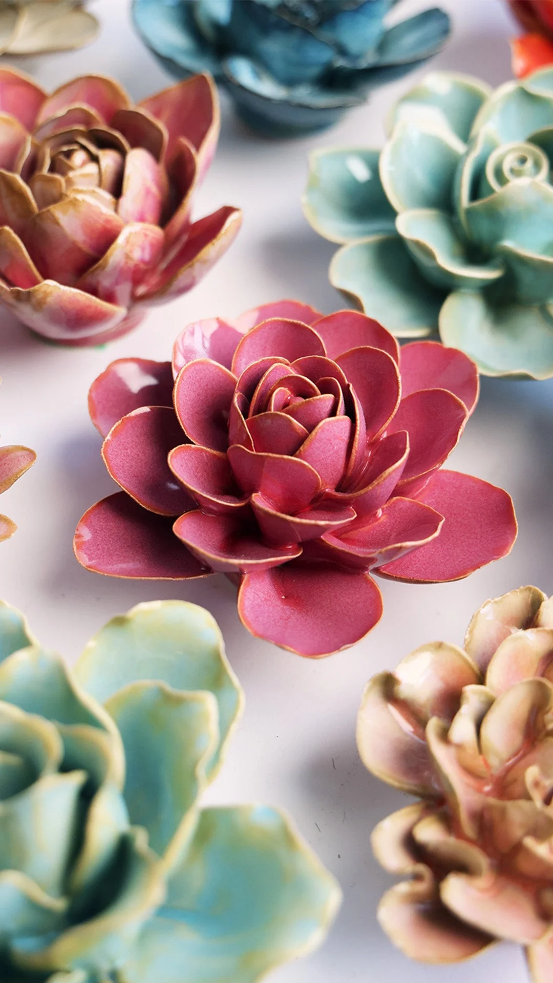 Blush Pink Begonia - Image 4