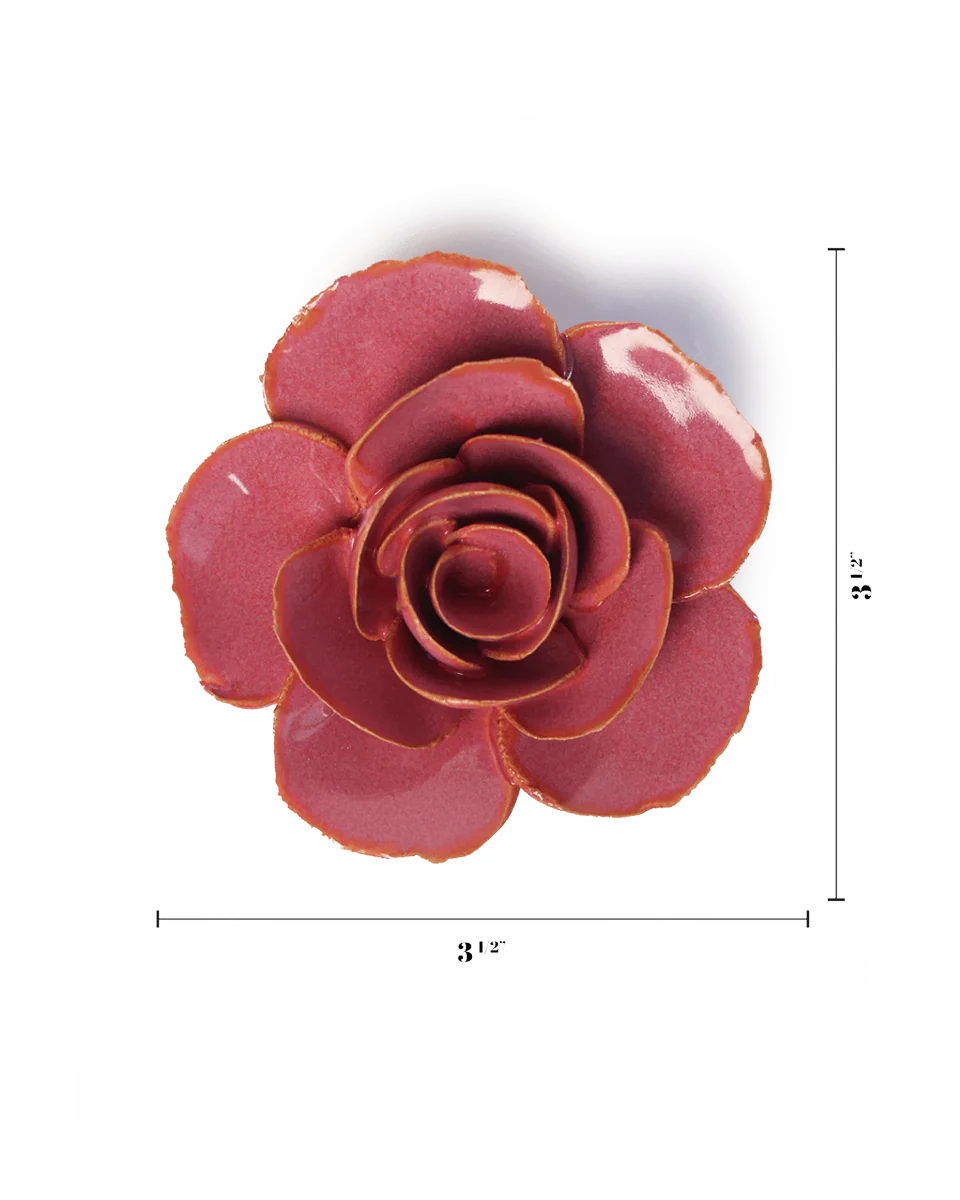 Blush Pink Elegance Ranunculus - Image 3