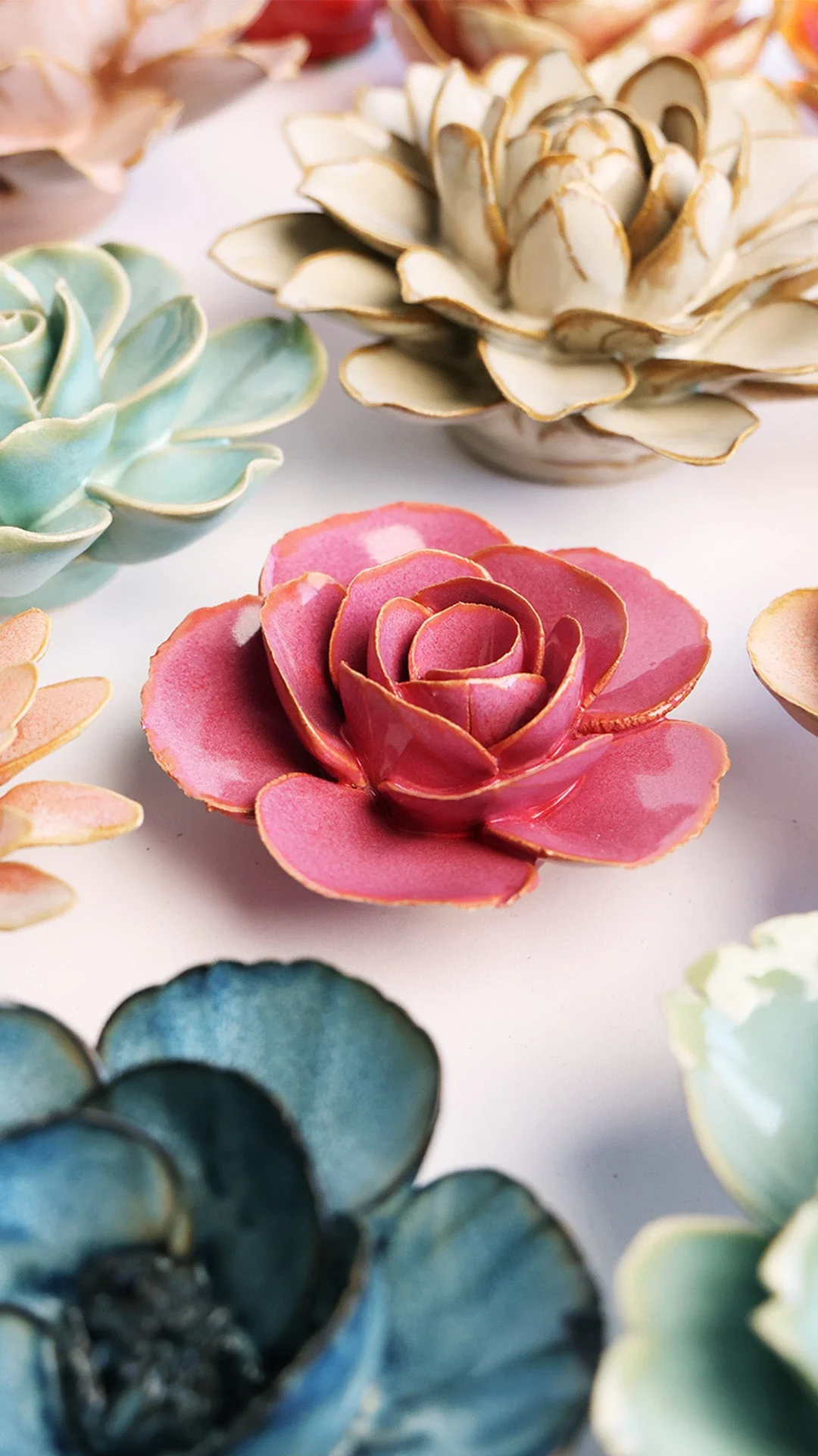 Blush Pink Elegance Ranunculus - Image 4