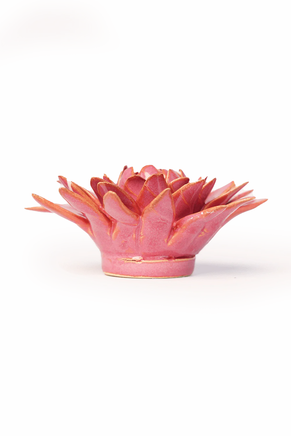Blush Pink Strawflower - Image 2