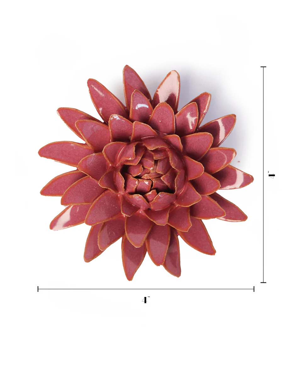 Blush Pink Strawflower - Image 3